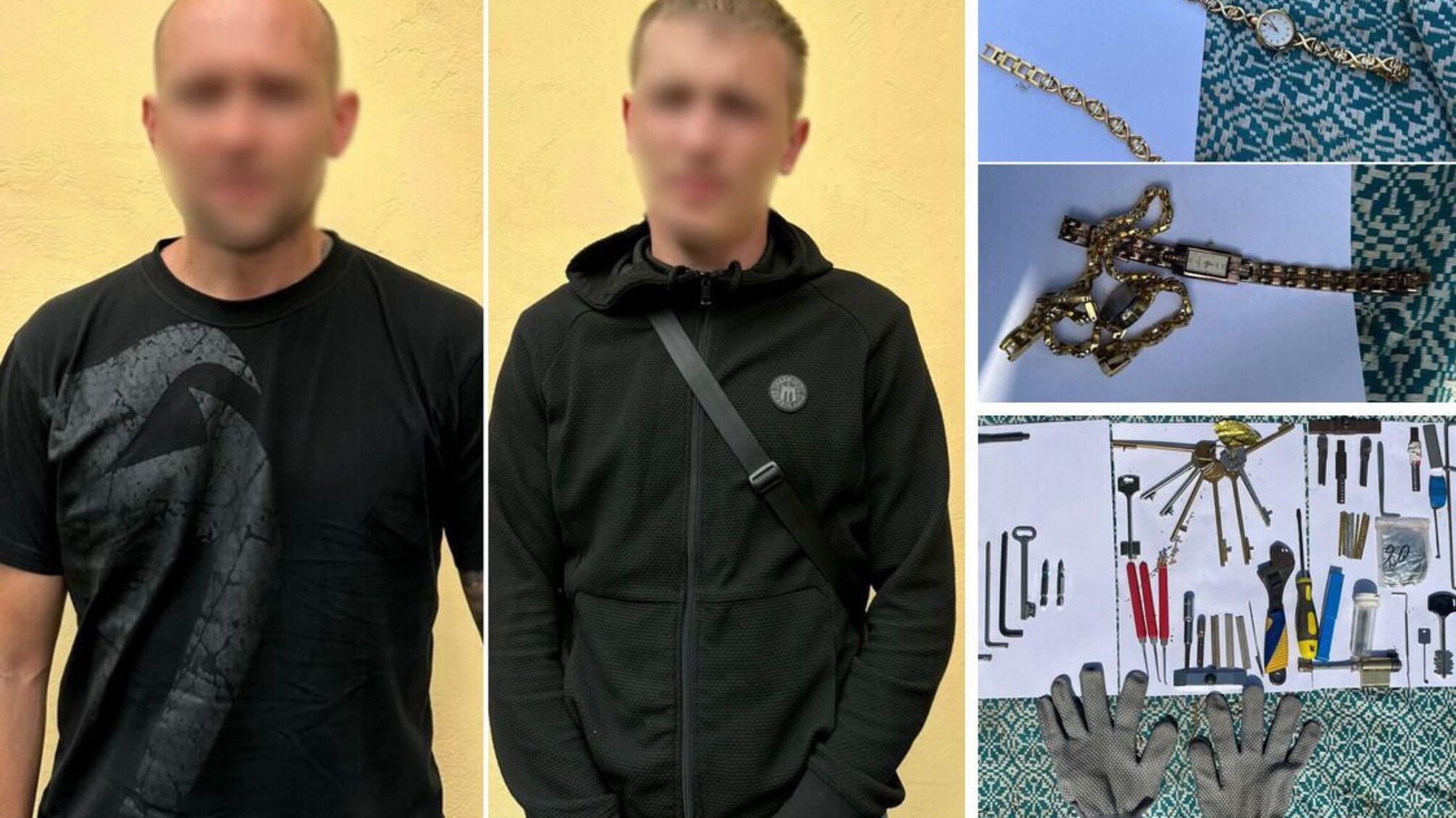 На Закарпатті затримано групу крадіїв-гастролерів