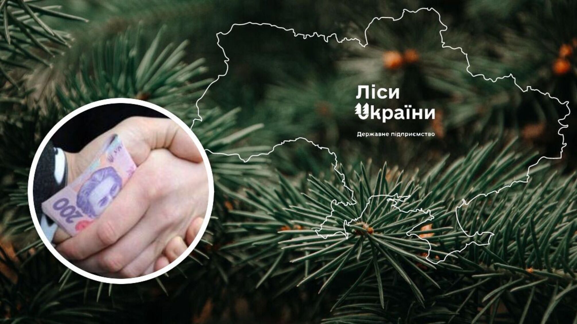 ГП 'Леса Украины' ищет пиарщиков за 5 миллионов: объявлен тендер
