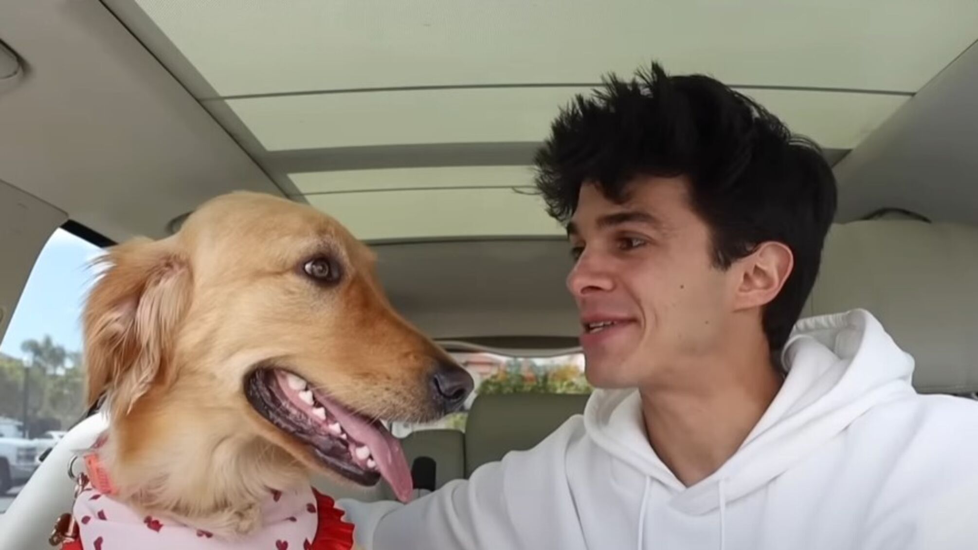 Блогер-миллионник Ривера подарил своей собаке дом за 25 тысяч долларов (видео)