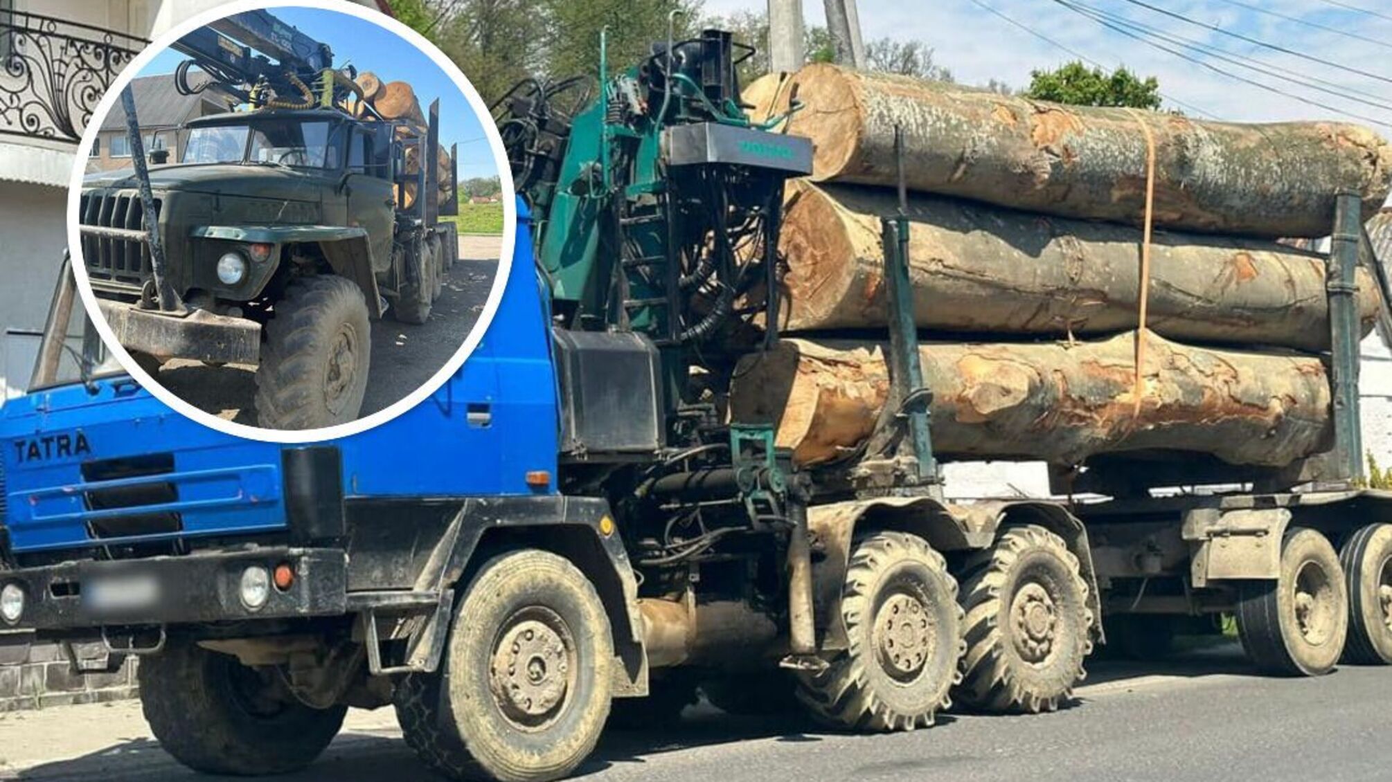 на Закарпатті поліція затримала дві вантажівки, які ранспортували нелегальну лісопродукцію