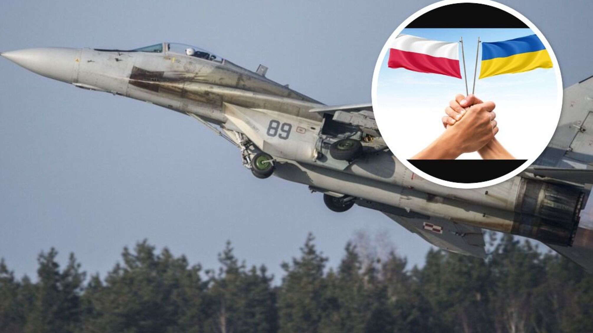 МіГ-29 - кілька винищувачів надала Польща