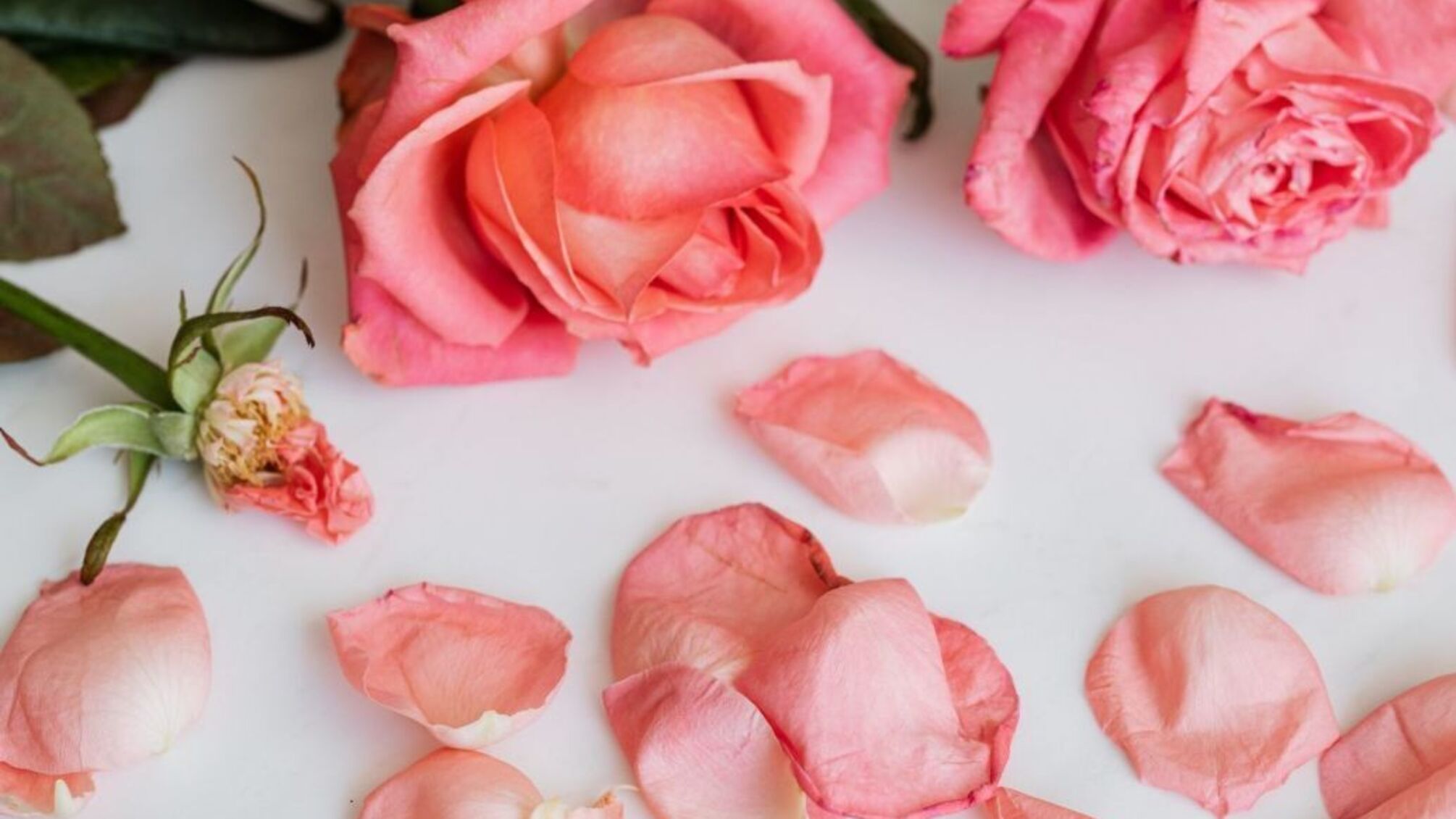 Свято 14 червня: кого привітати та що не можна робити