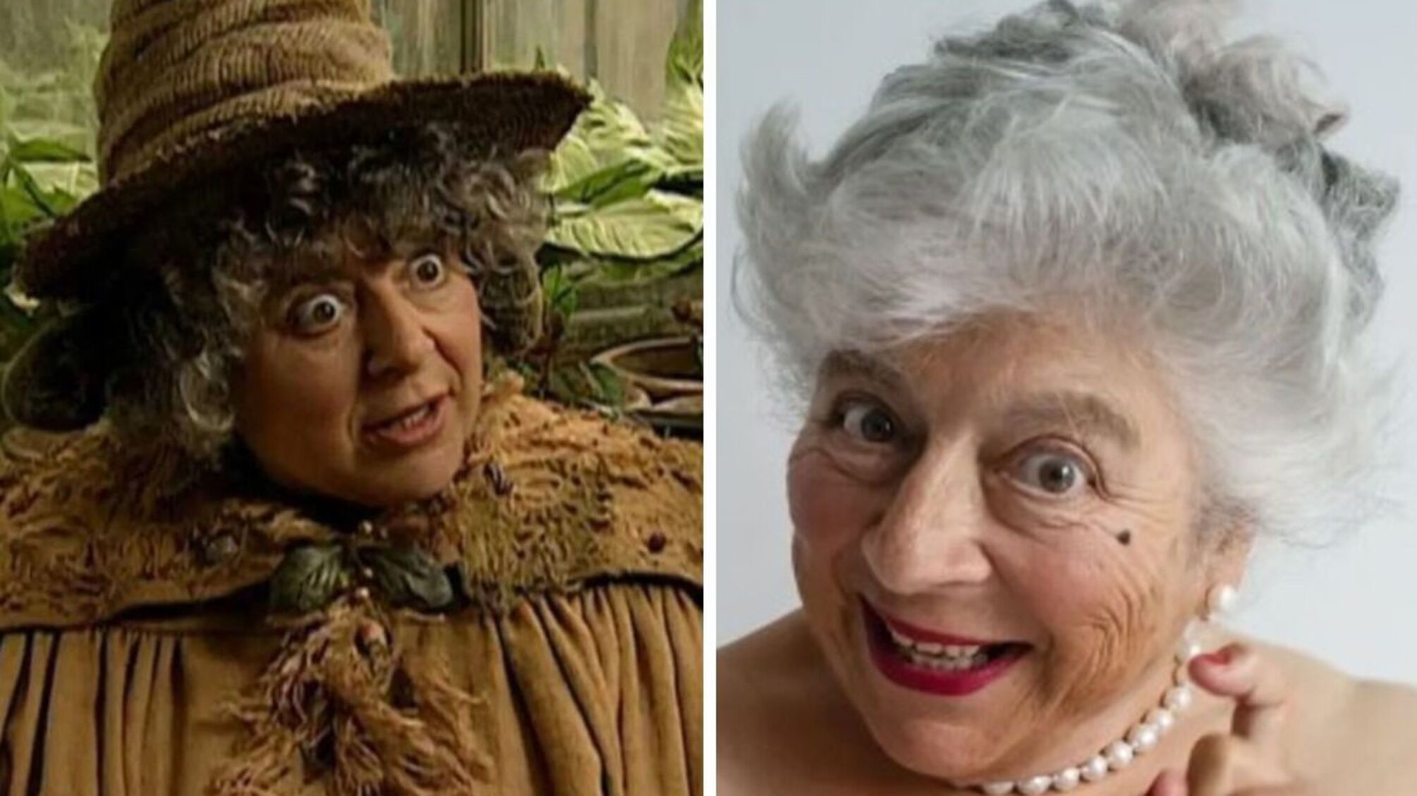 Міріам Марголіс - професорка гербалогії Помона Спраут