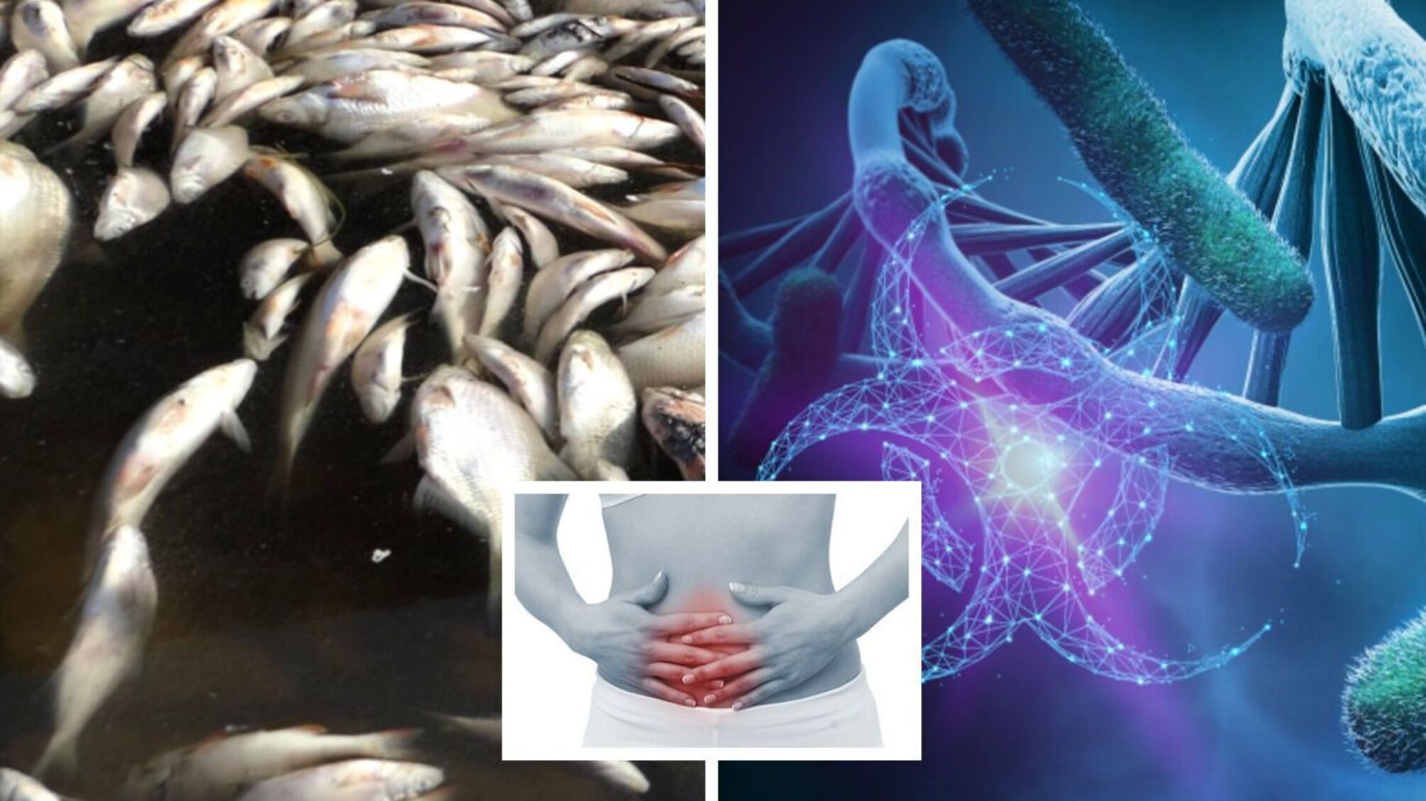 В Украине возможна вспышка ботулизма: способы заражения, симптомы, лечение