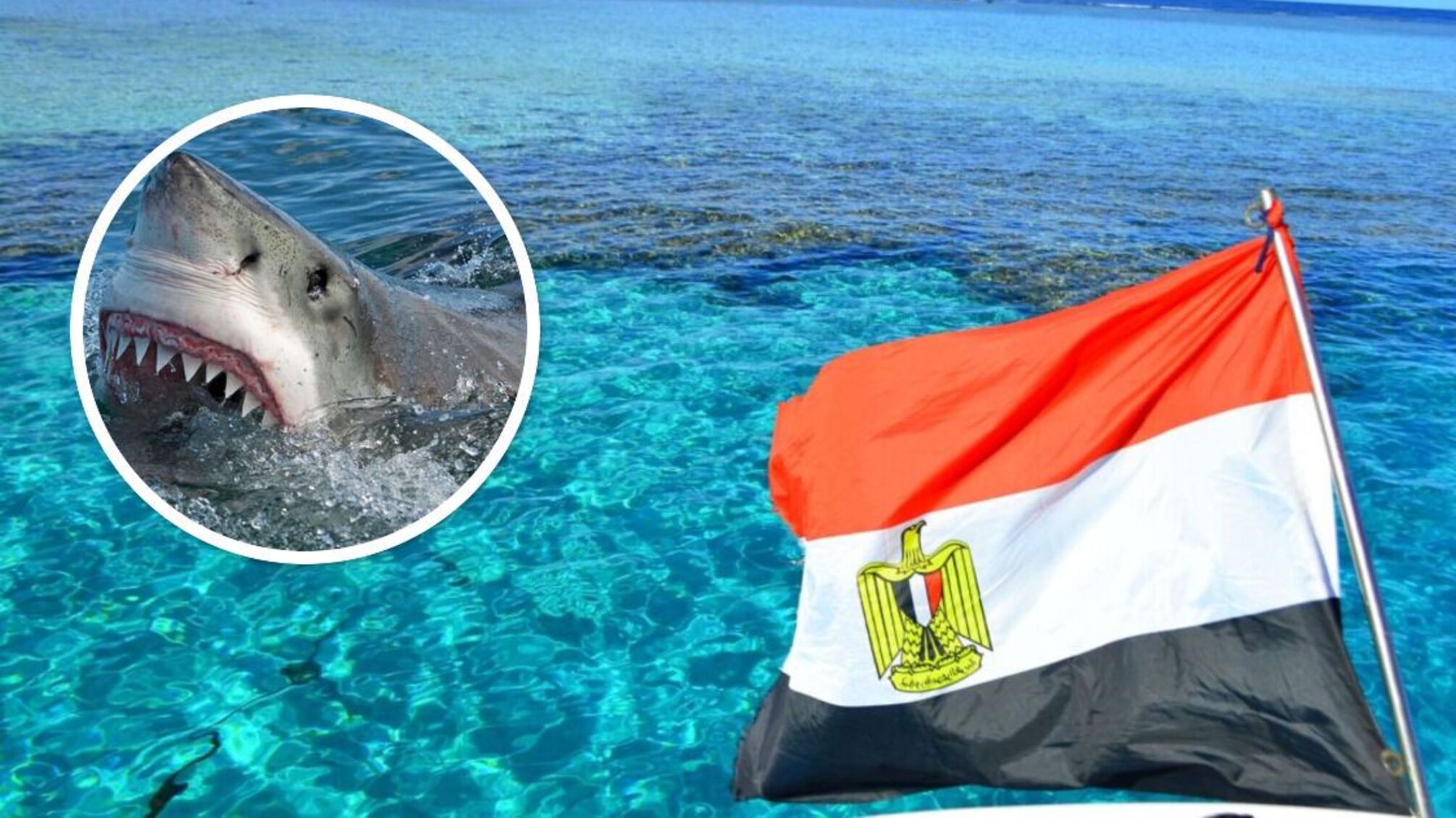 У Єгипті акула з'їла російського туриста