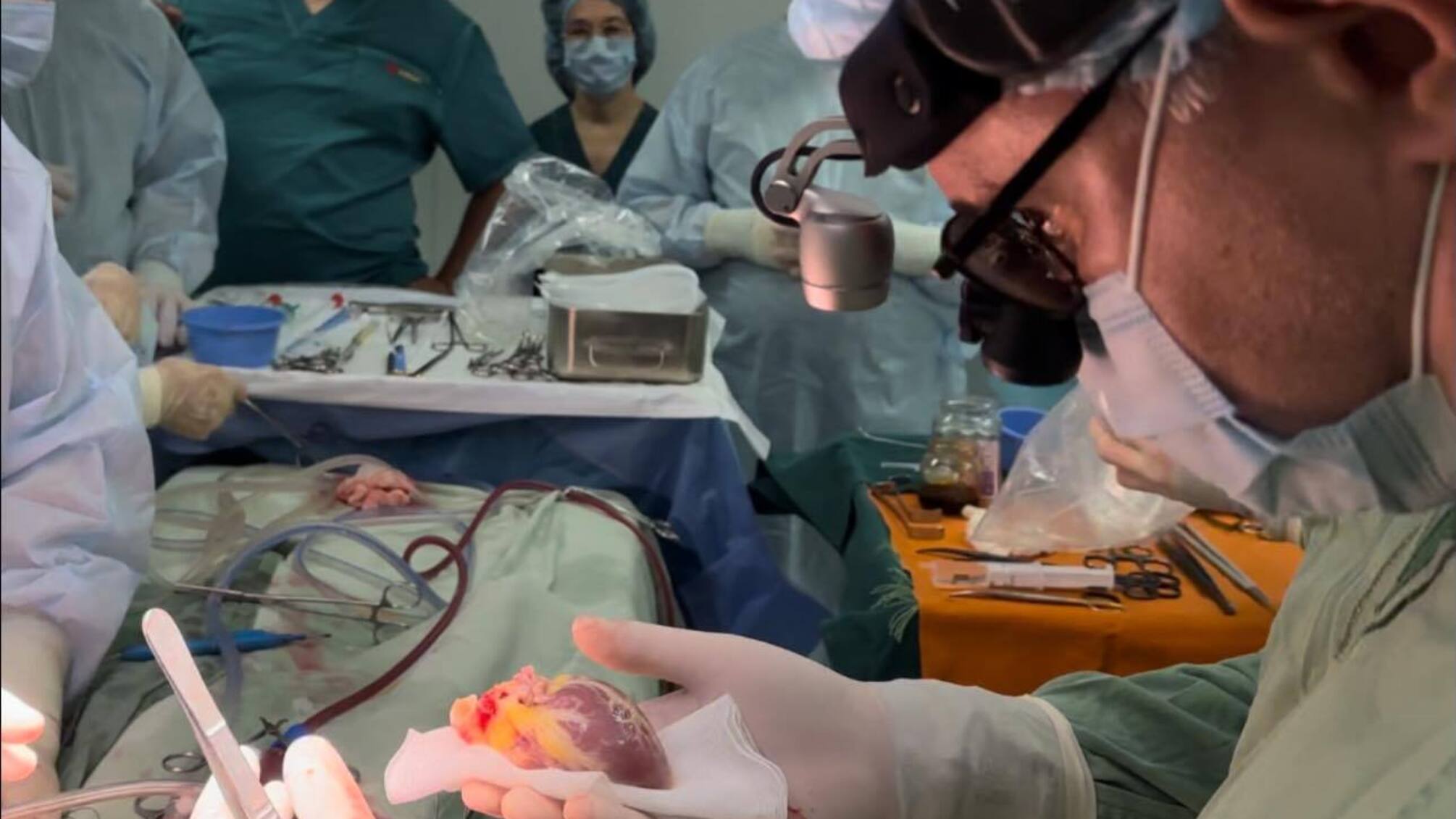 В Украине впервые провели трансплантацию сердца 6-летнему ребенку