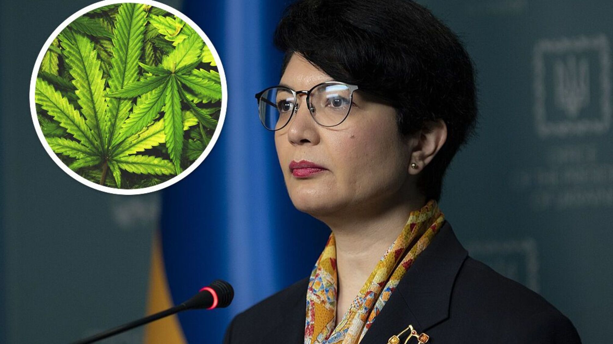 Ташева Тамила, легализация каннабиса, каннабис в Крыму