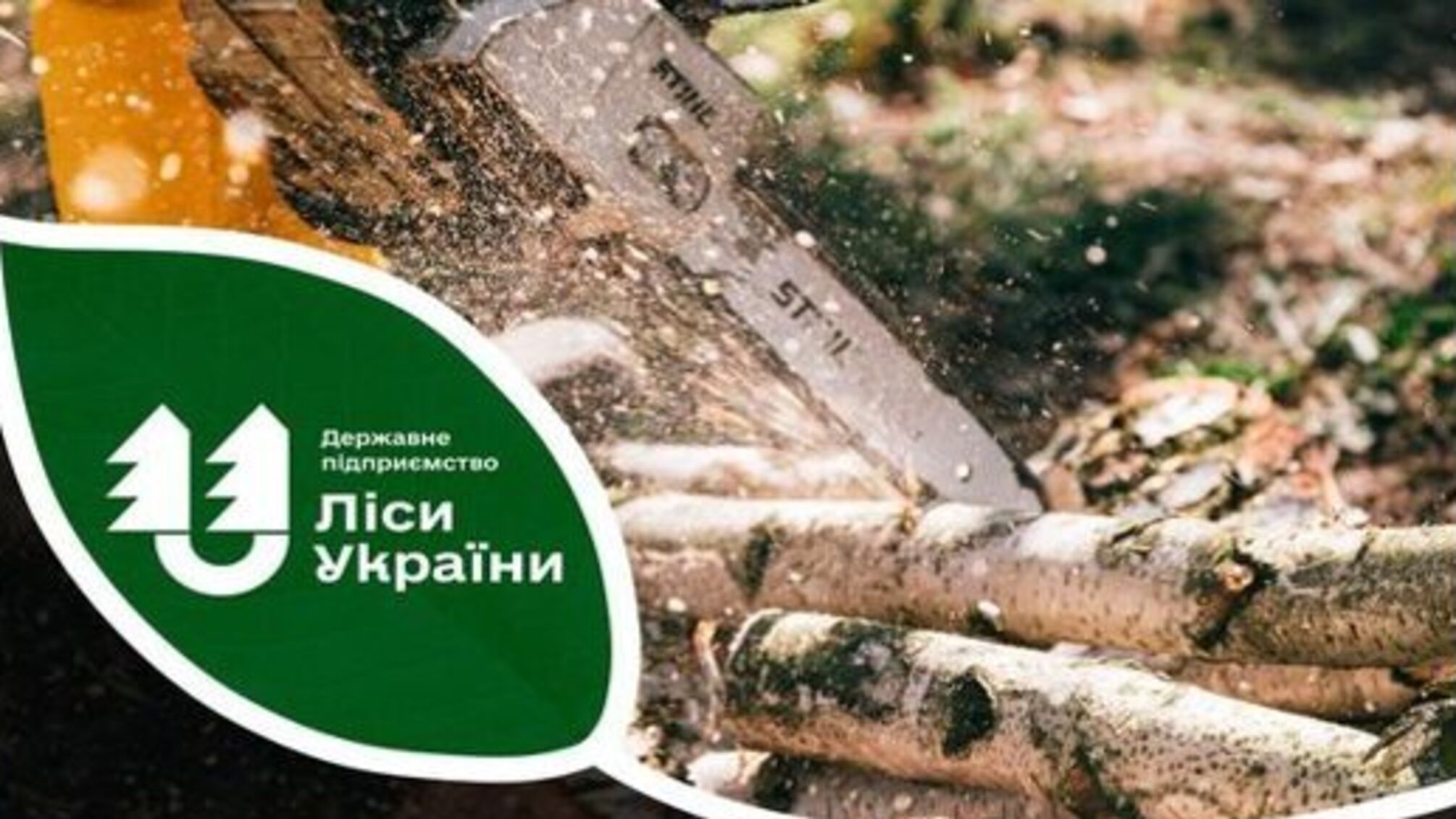 Тендер на консультантов для стратегического развития - 'Леса Украины' ищут элитных партнеров