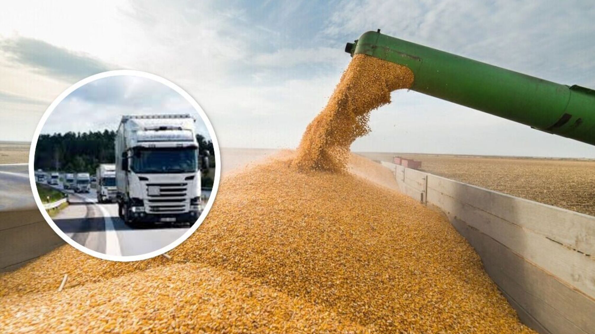 Крадуть фурами: окупанти продовжують вивозити тонни українського зерна з Криму