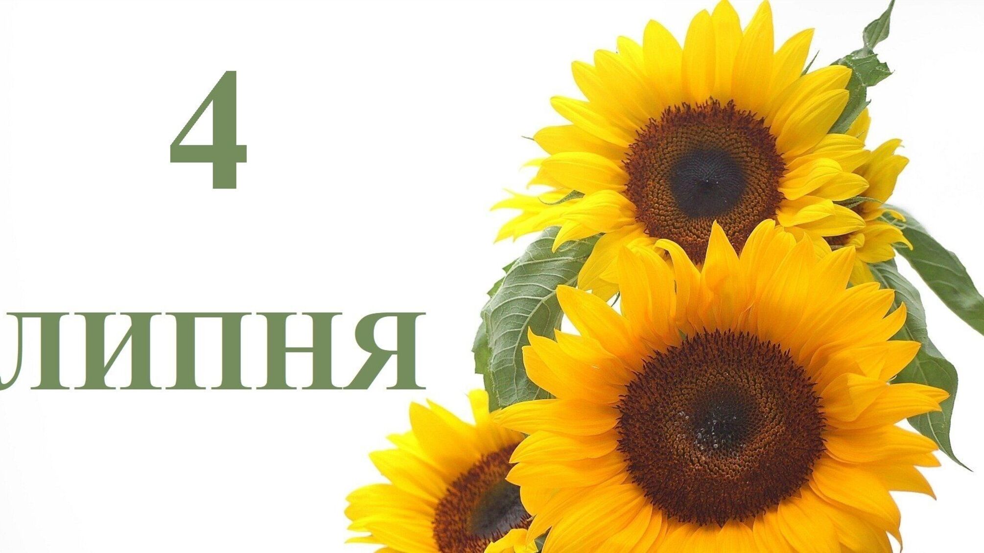 4 июля: какой сегодня праздник, приметы и запреты