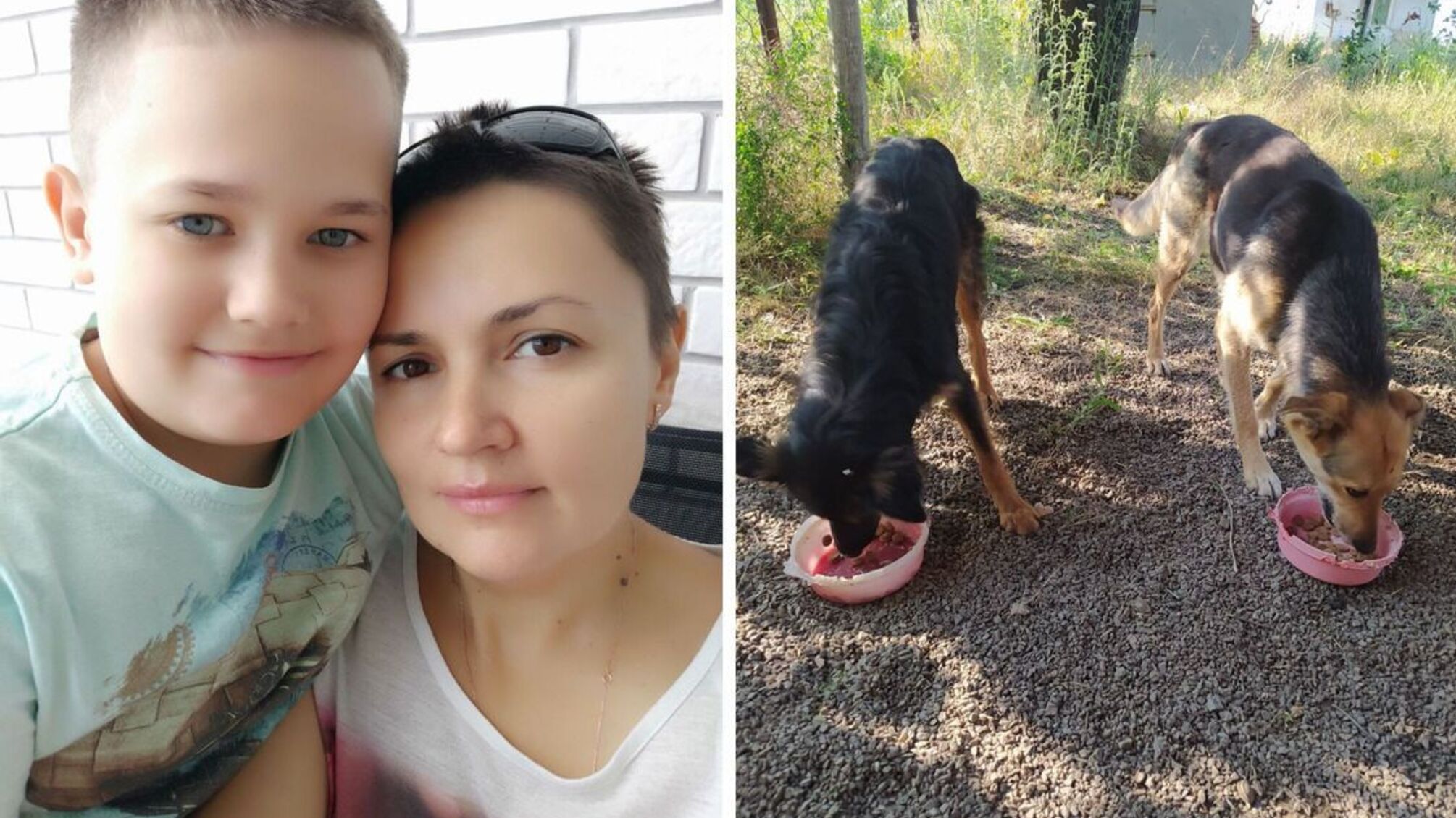 Семья Новиковых на Херсонщине кормят заброшенных животных