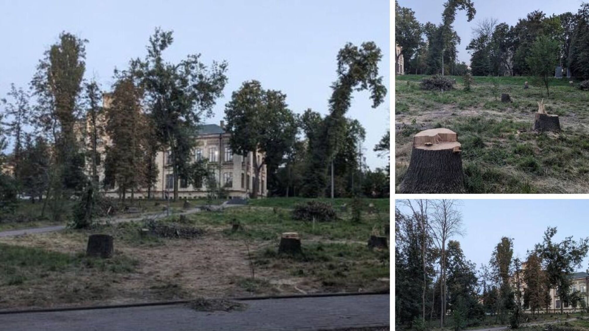 Голі пеньки замість ясенів та дубів: КПІ провів реконструкцію парку