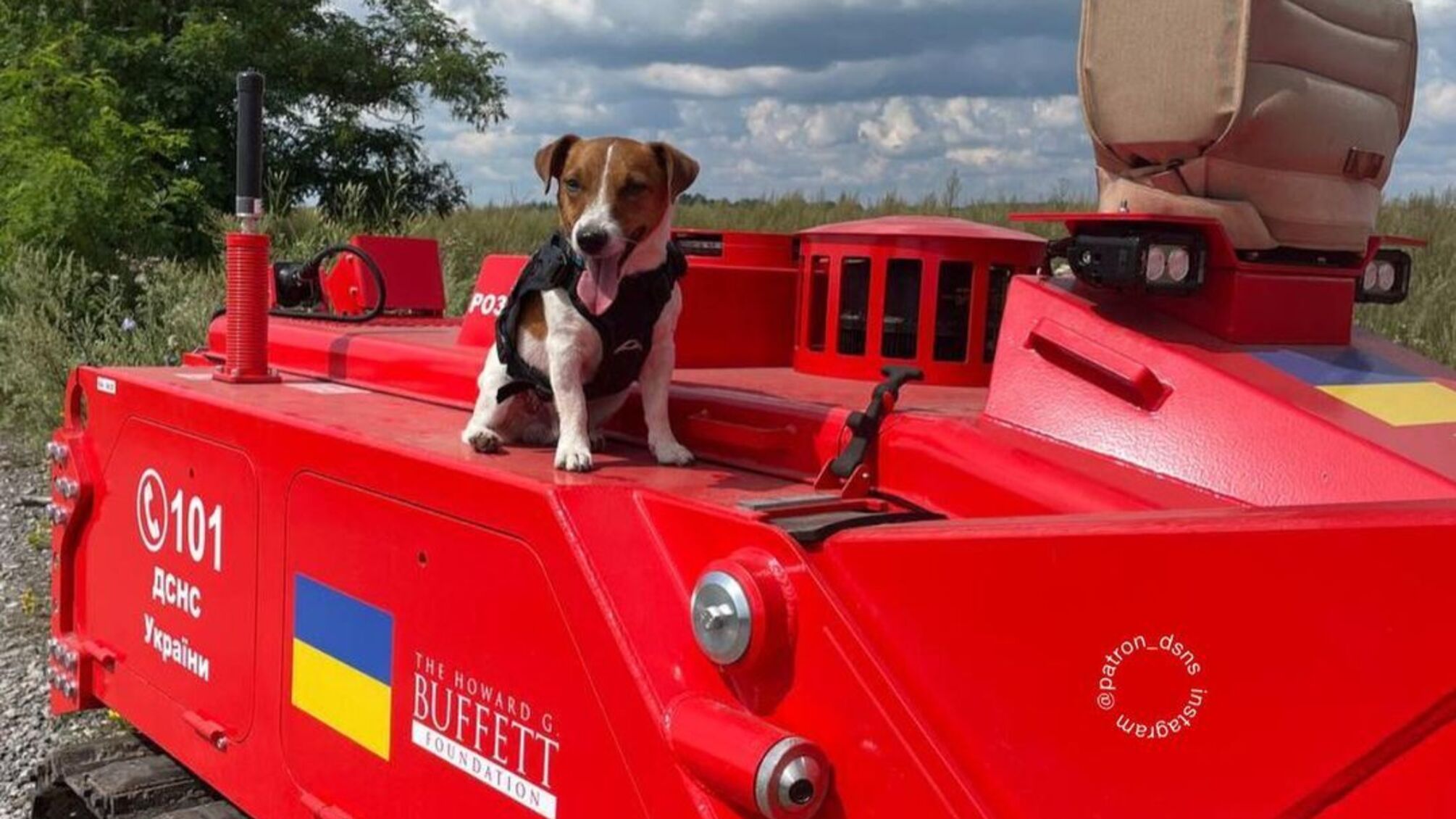 Пес Патрон