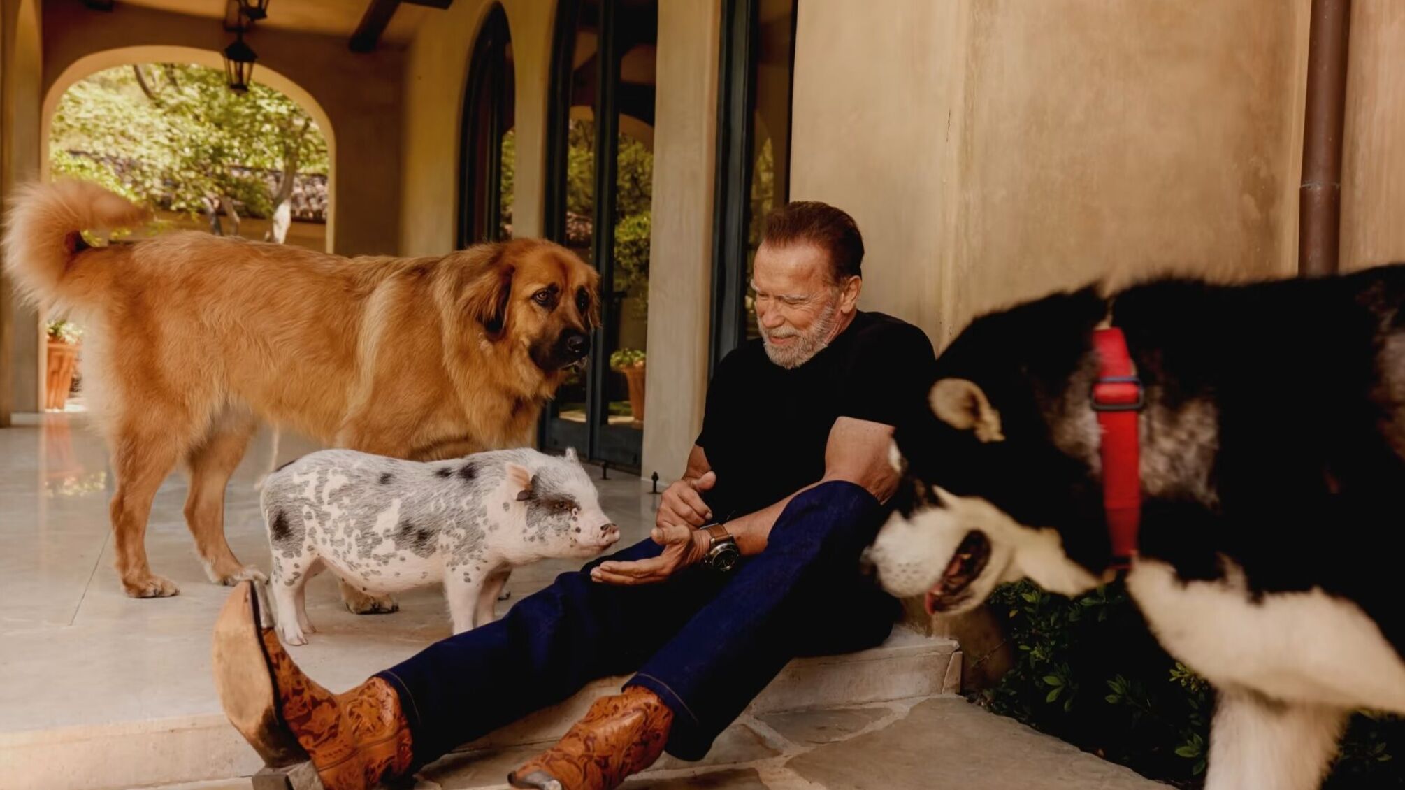 Арнольд Шварцнеггер зі своїми домашніми улюбленцями