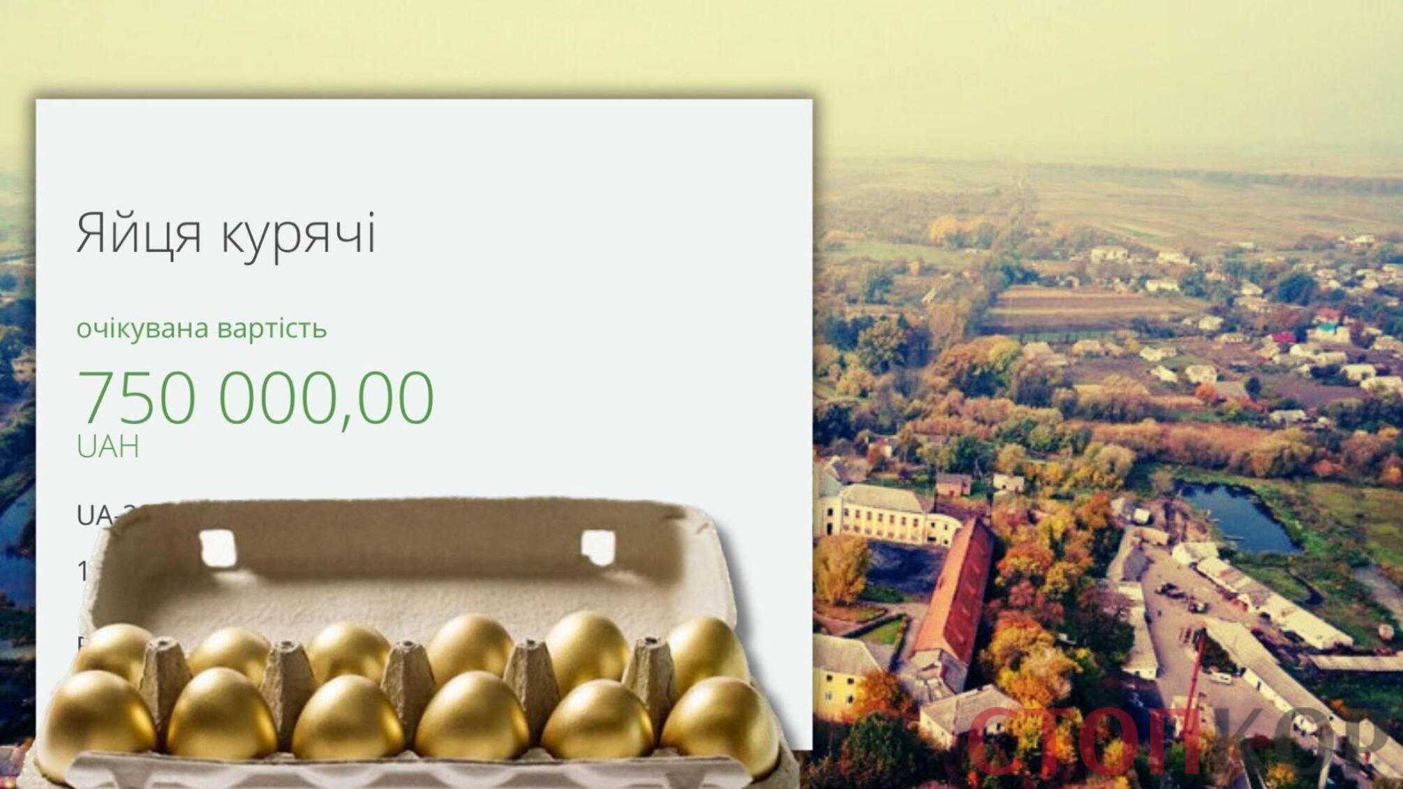  Олицька селищна рада на Волині планує закупити яйця по 50 грн за штуку 