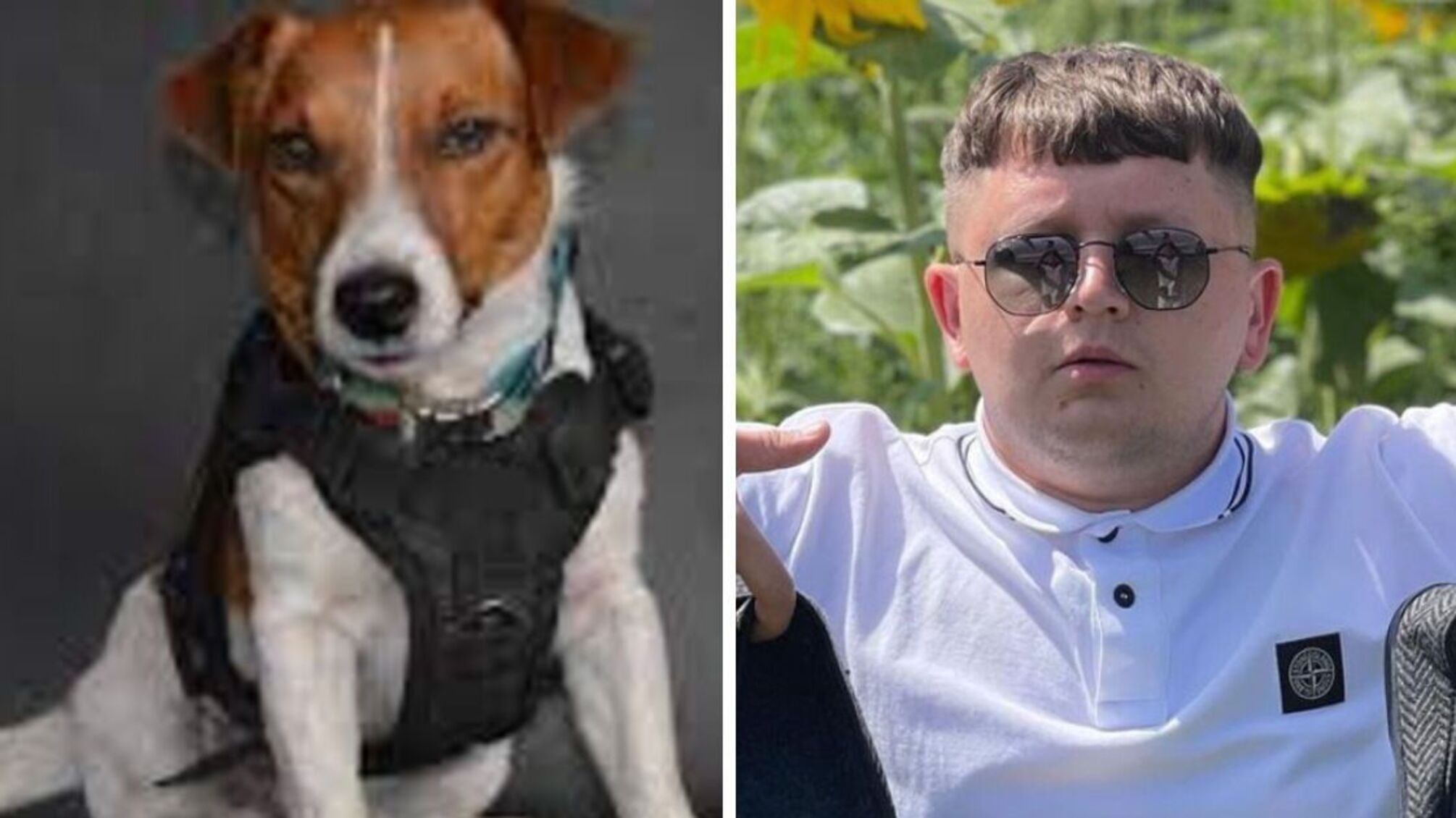 Лебігович, Патрон