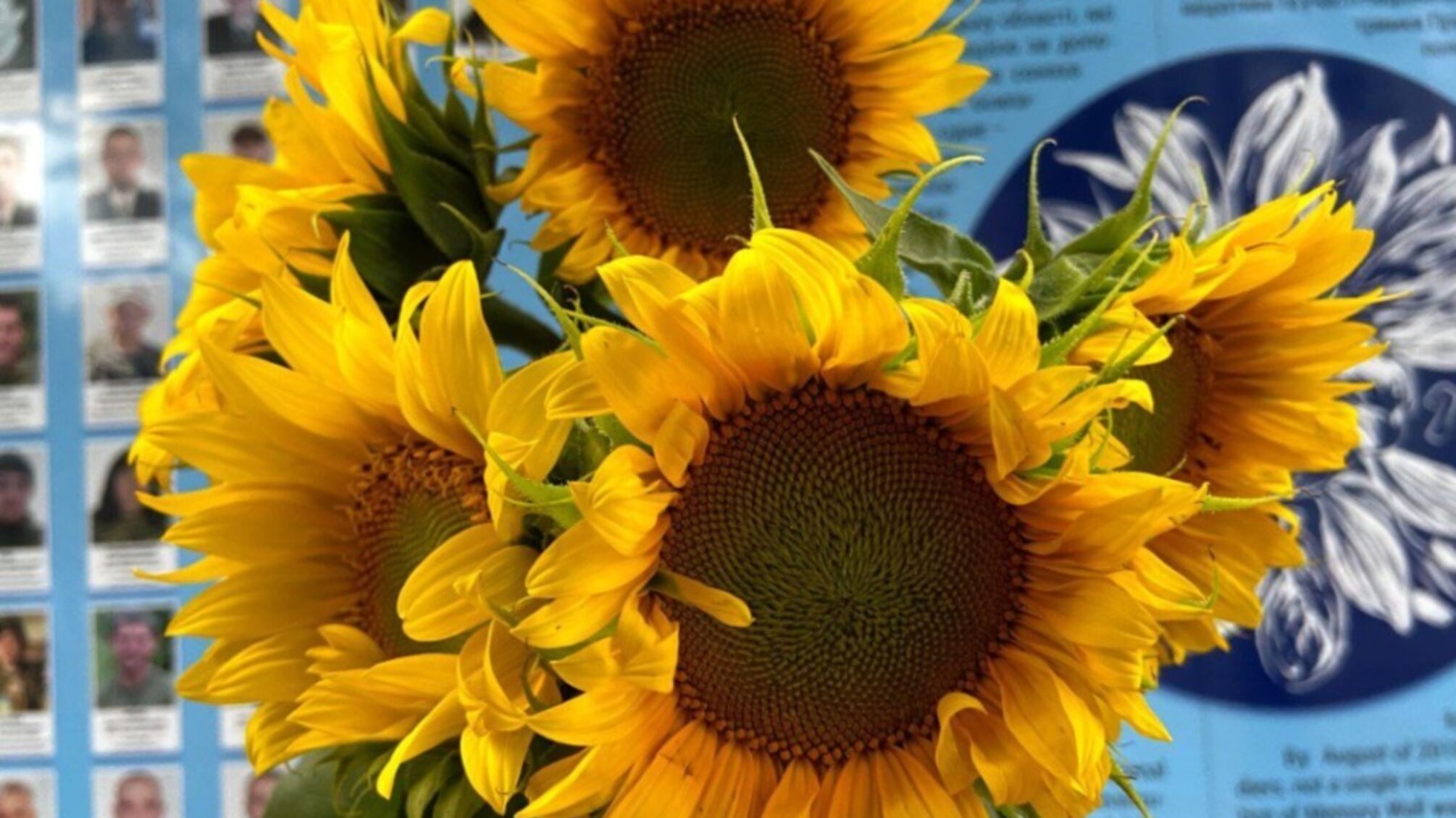 29 серпня відзначають День пам'яті захисників України