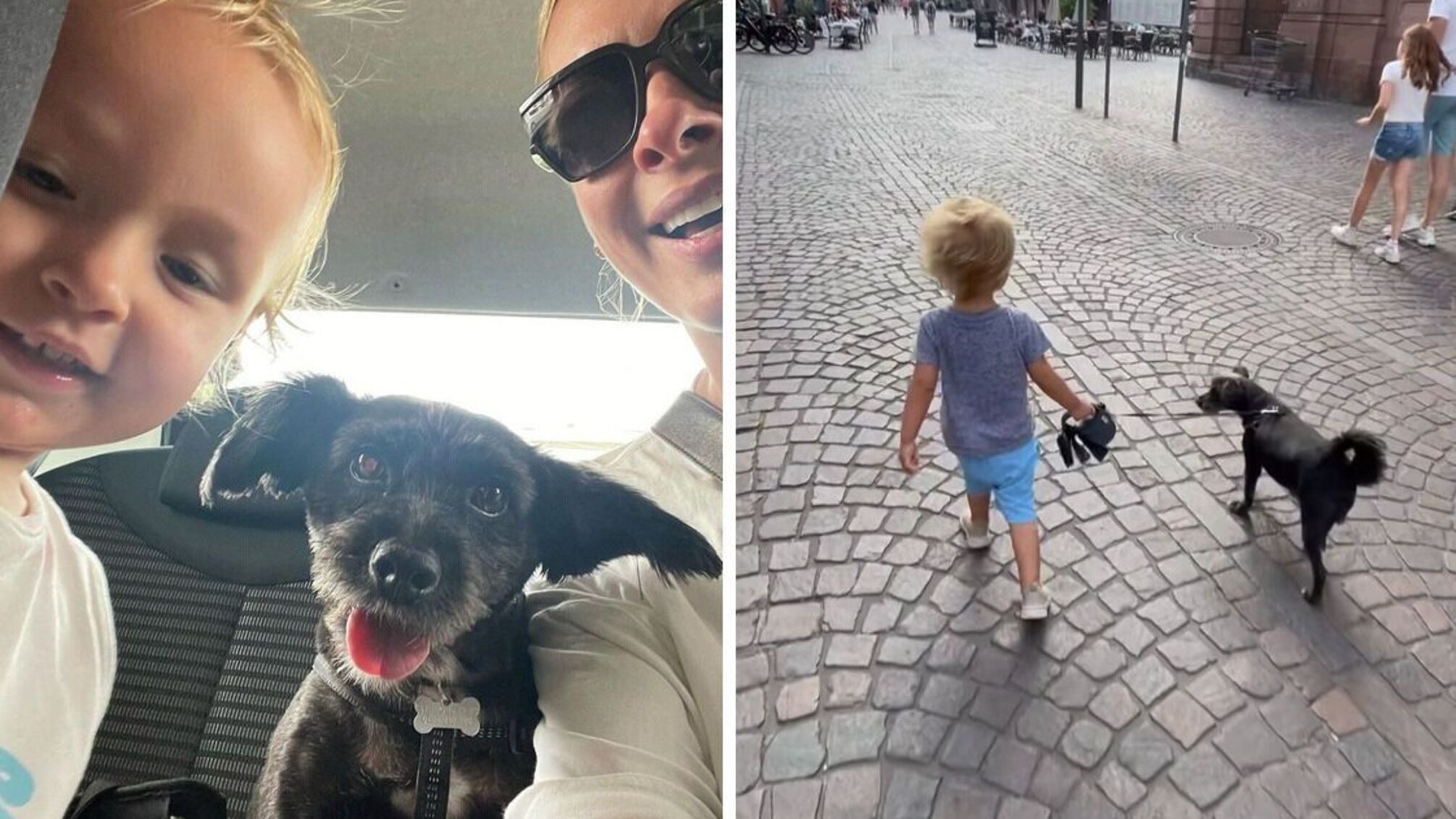 Ведуча Фролова син