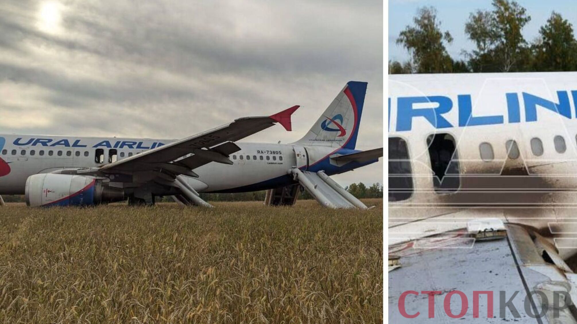 В россии в поле экстренно приземлился пассажирский самолет со 165 людьми на борту