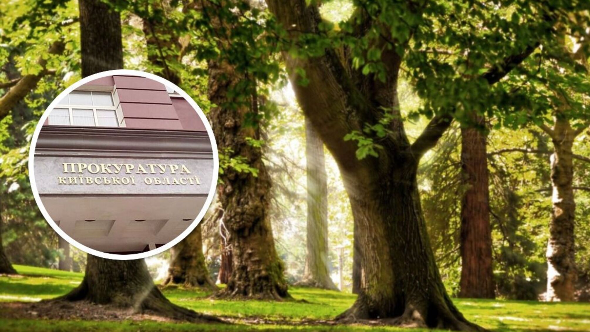 Конфликт вокруг Чернечего леса: прокуратура пытается забрать участок у частного инвестора – что известно?