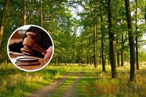 Спір за Чернечий ліс: Верховний Суд залишив земельні ділянки в користуванні приватного інвестора