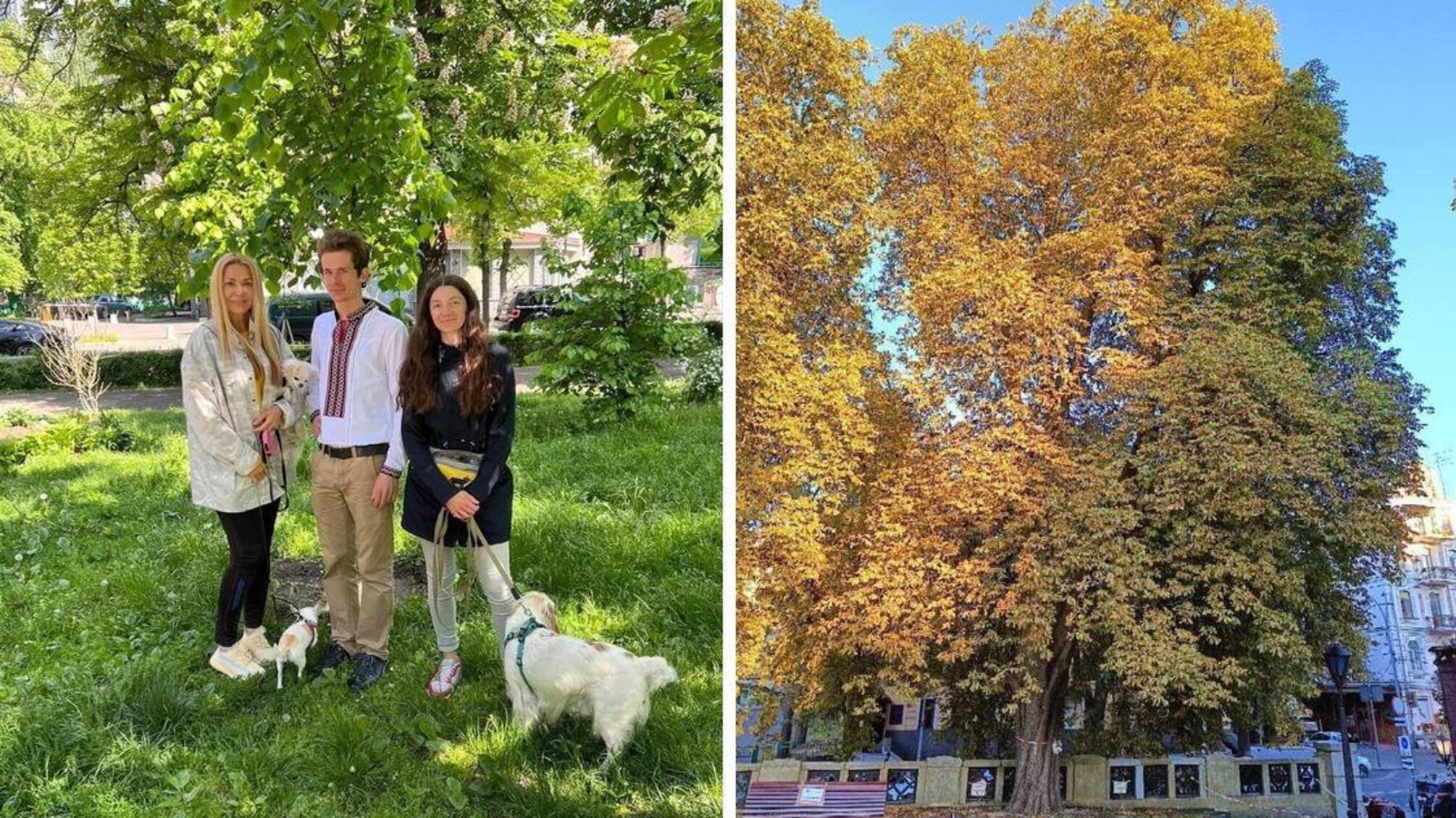 Акторка Ольга Сумська захист дерева