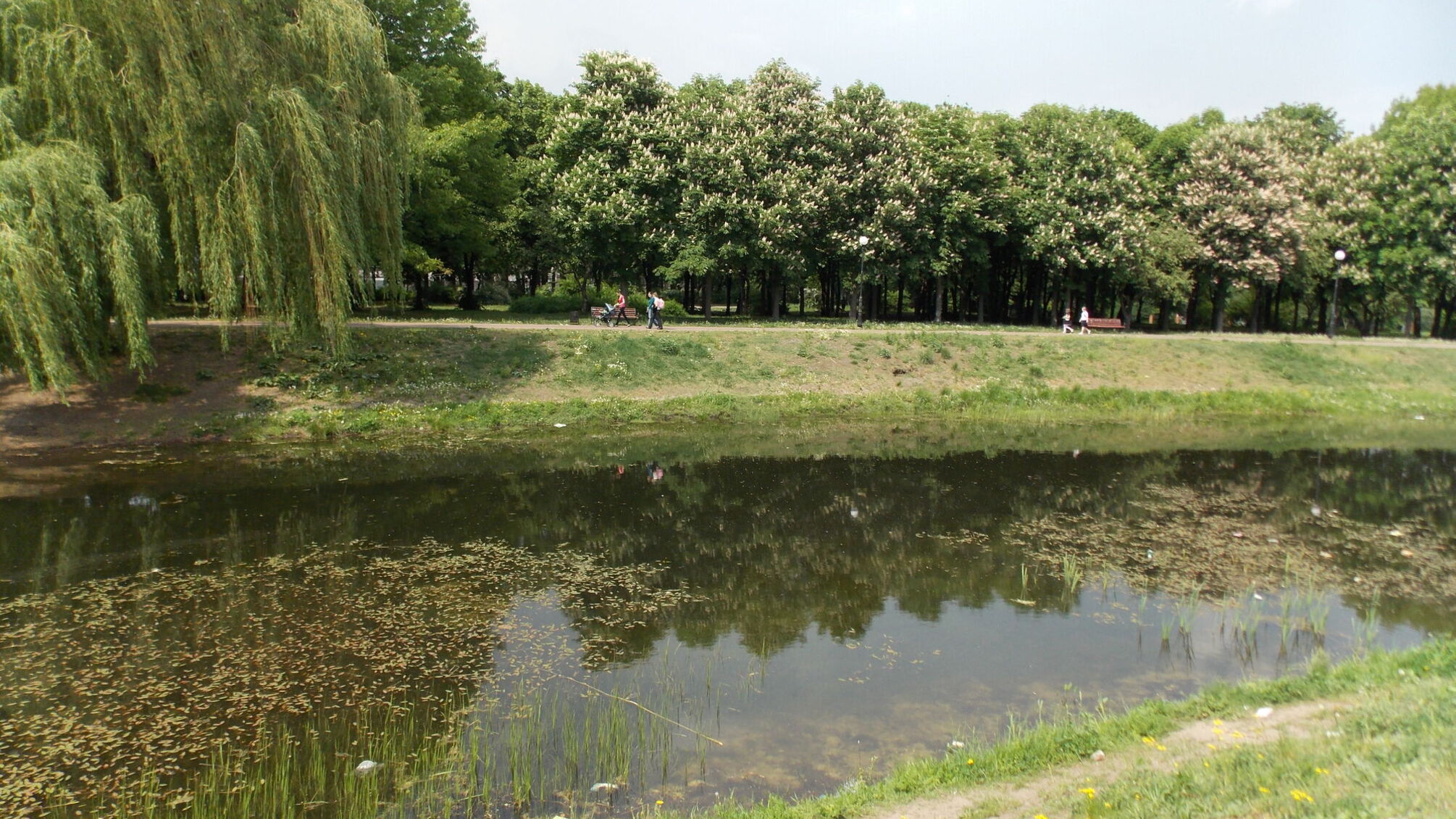 За 15 миллионов заказали расчистку реки Лыбидь до урочища Лысая Гора