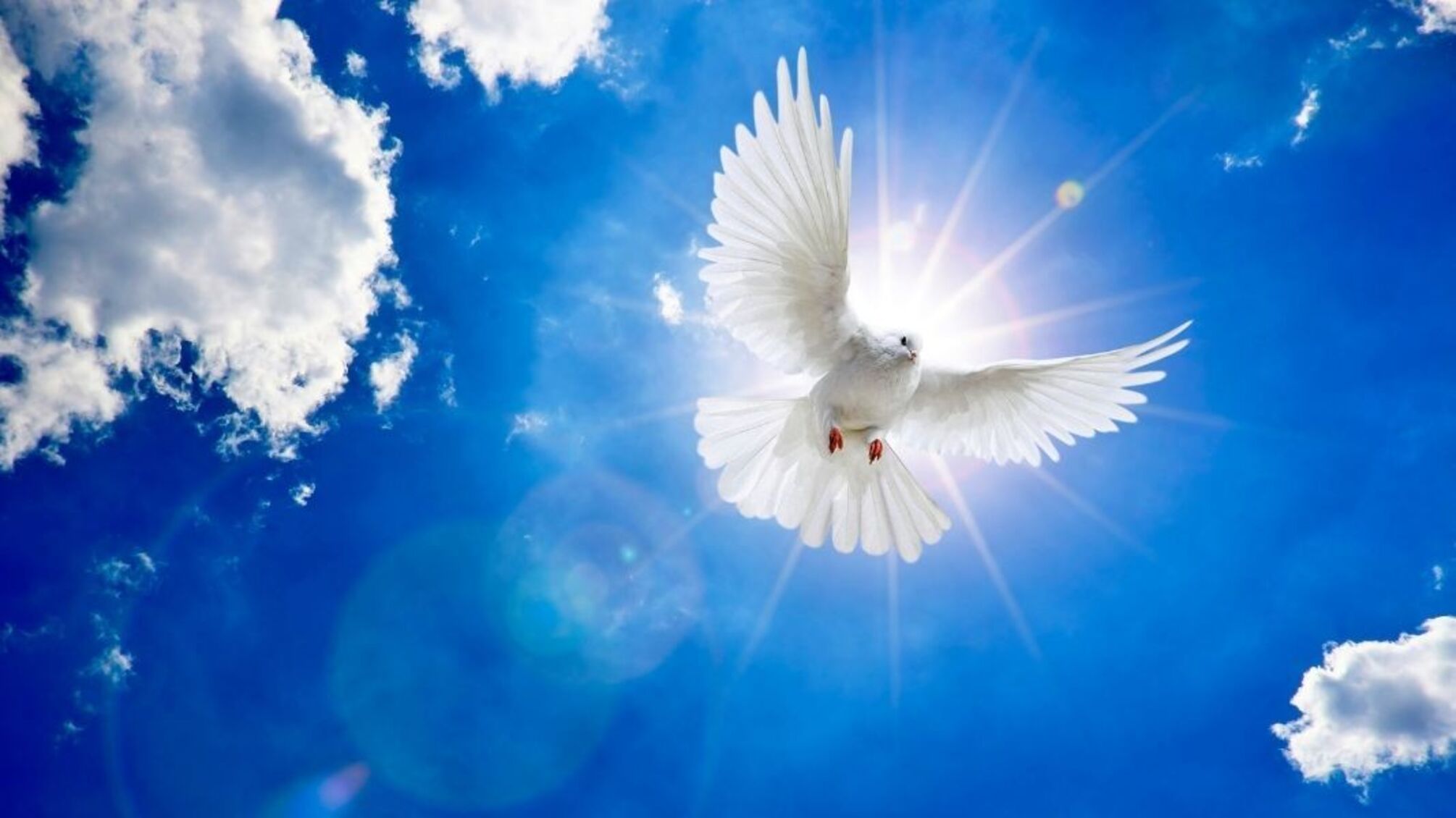 Праздники 21 сентября: День мира в Украине и Всемирный день благодарения