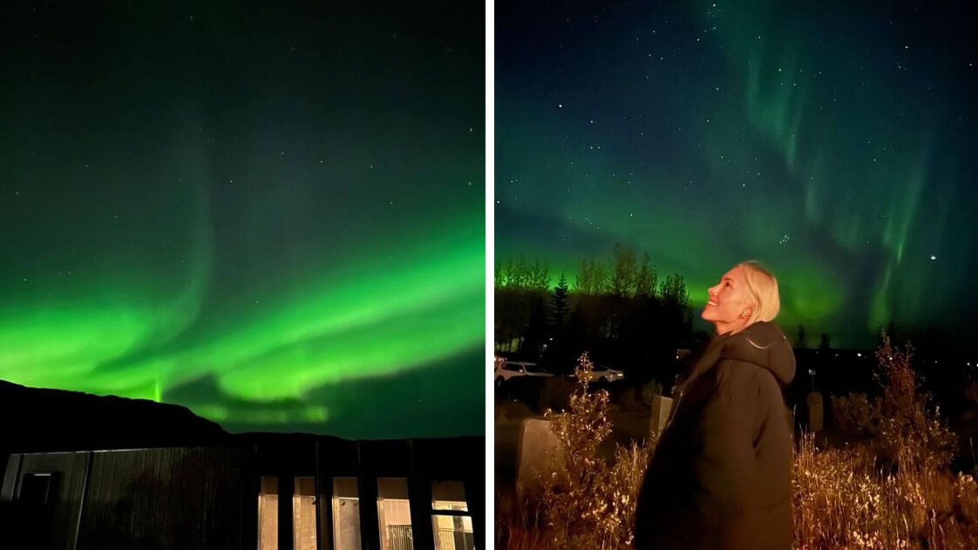 Цветочная в Исландии