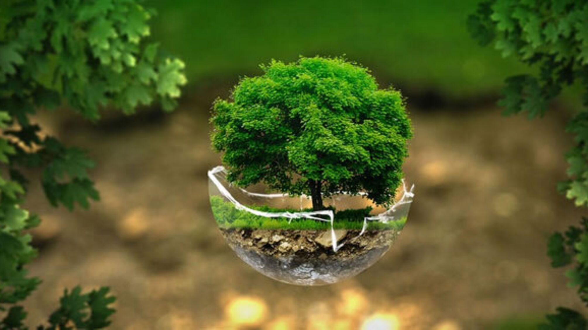 Свято 26 вересня: День здоров’я довкілля