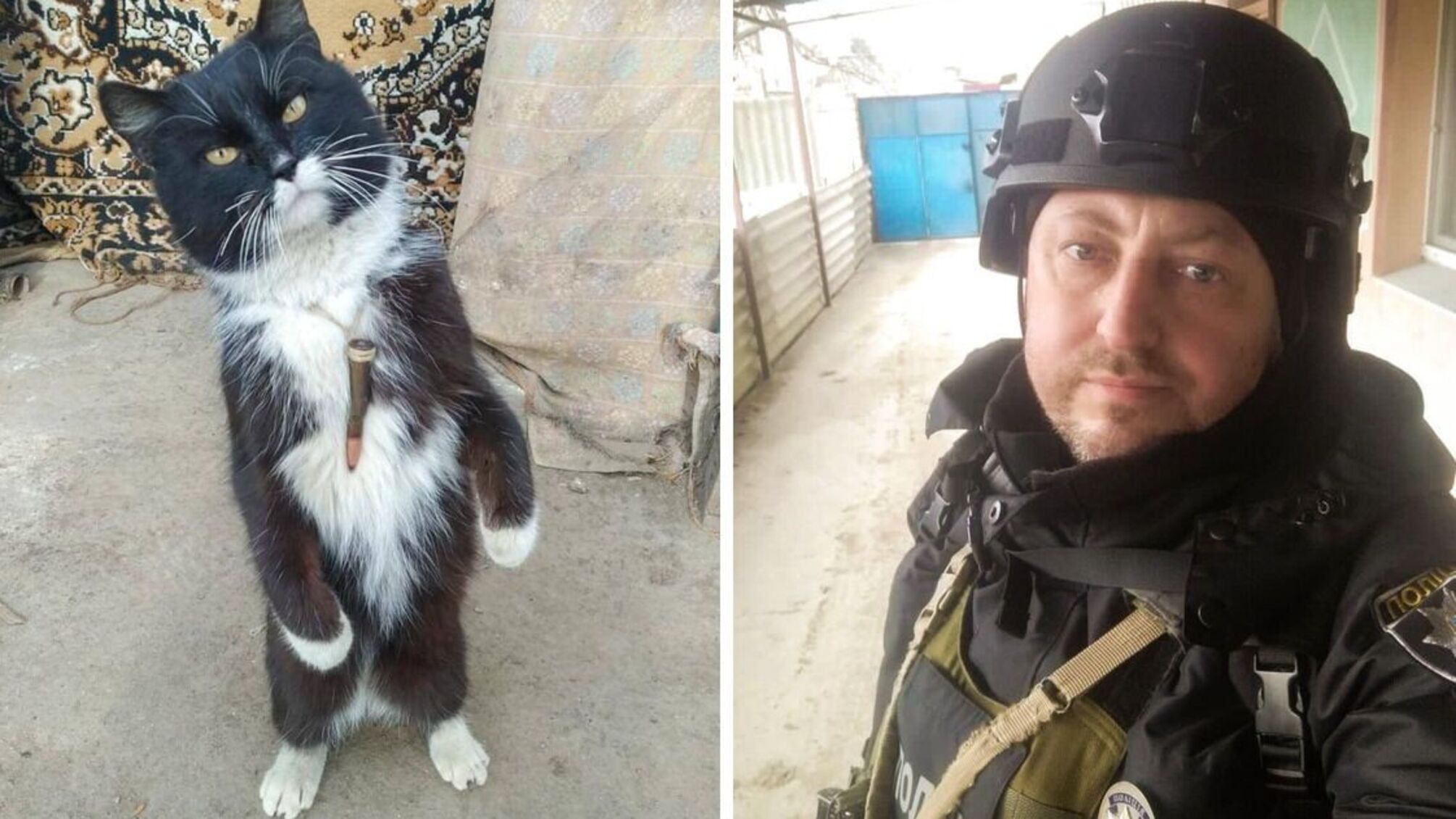 Пухнастий побратим: на Херсонщині разом з одеським поліцейським служить кіт Патрон