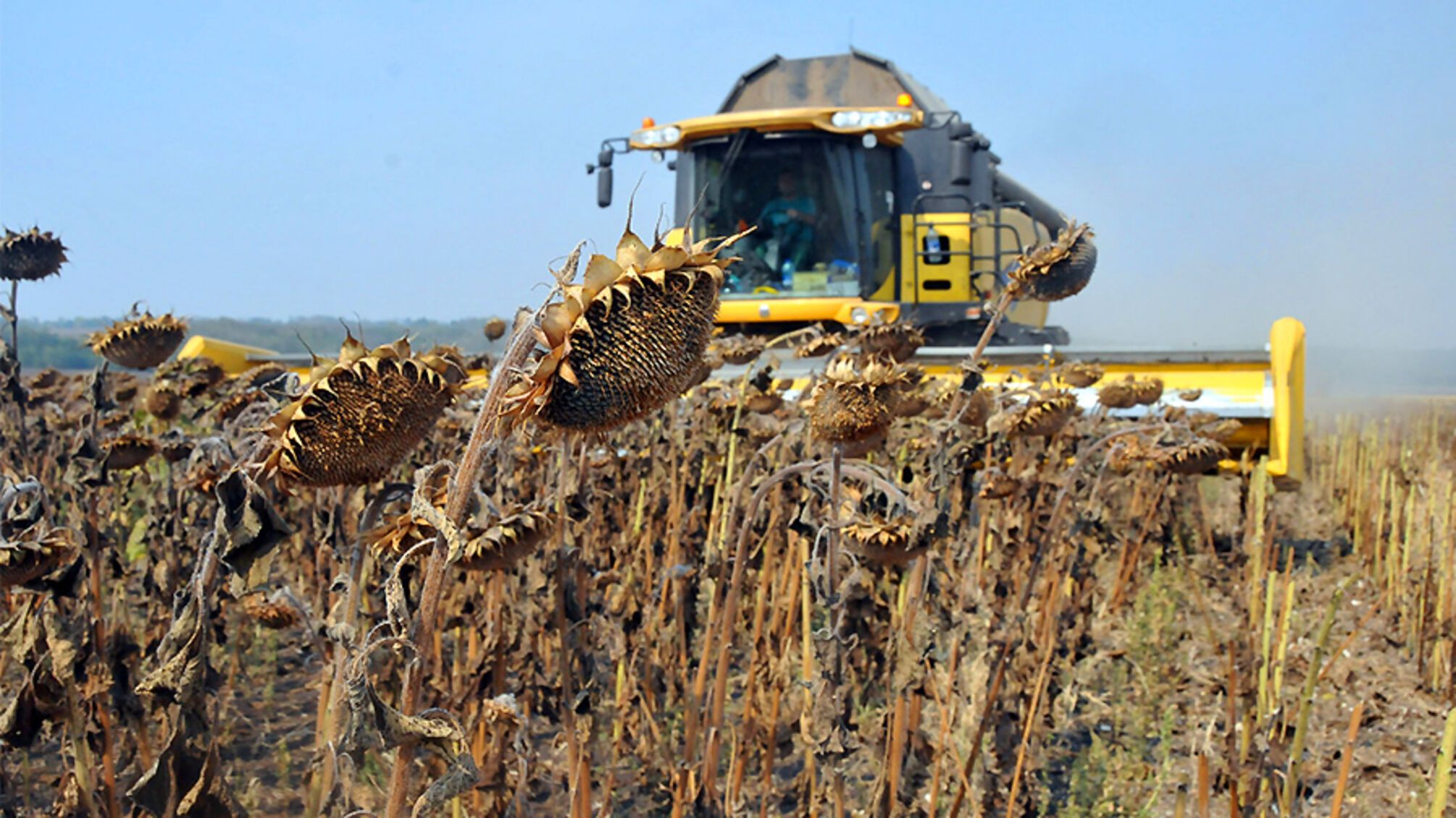 Кінний завод