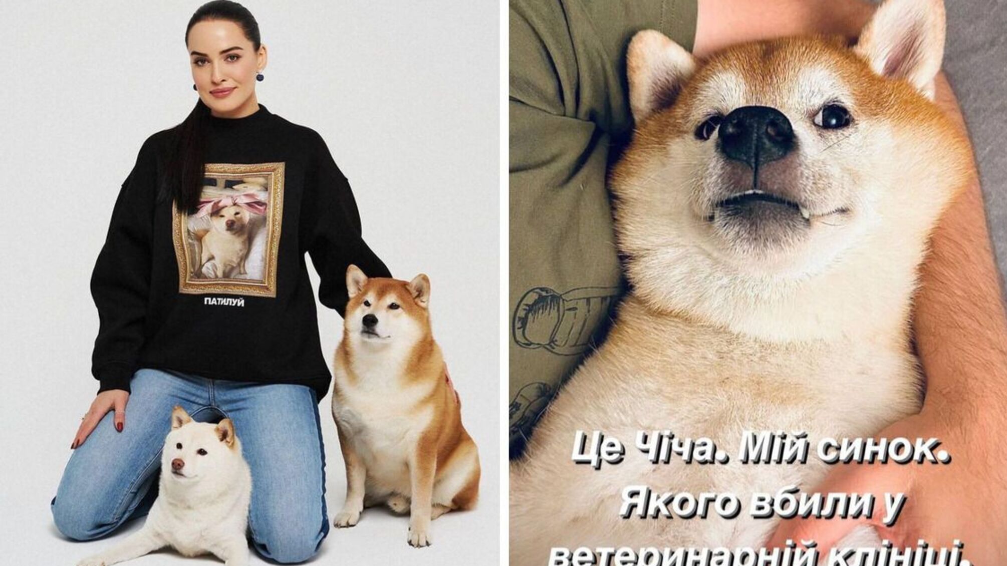 'Чичу убили': собака Даши Астафьевой умерла в ветклинике