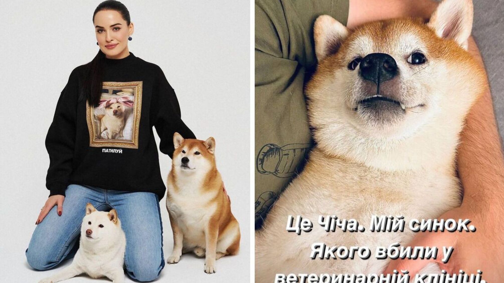 собака Даші Астаф'євої