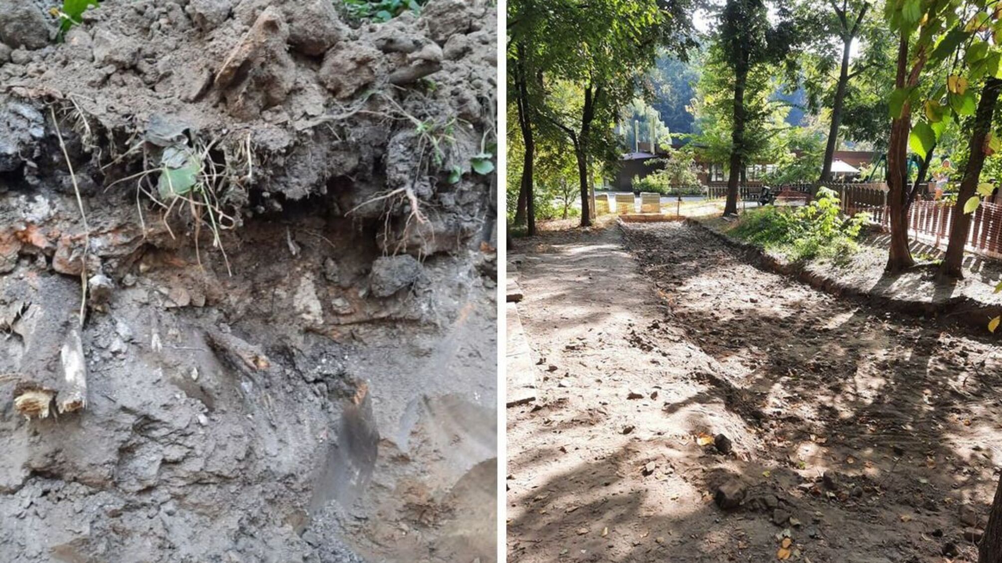 захоплення парку голосіївський