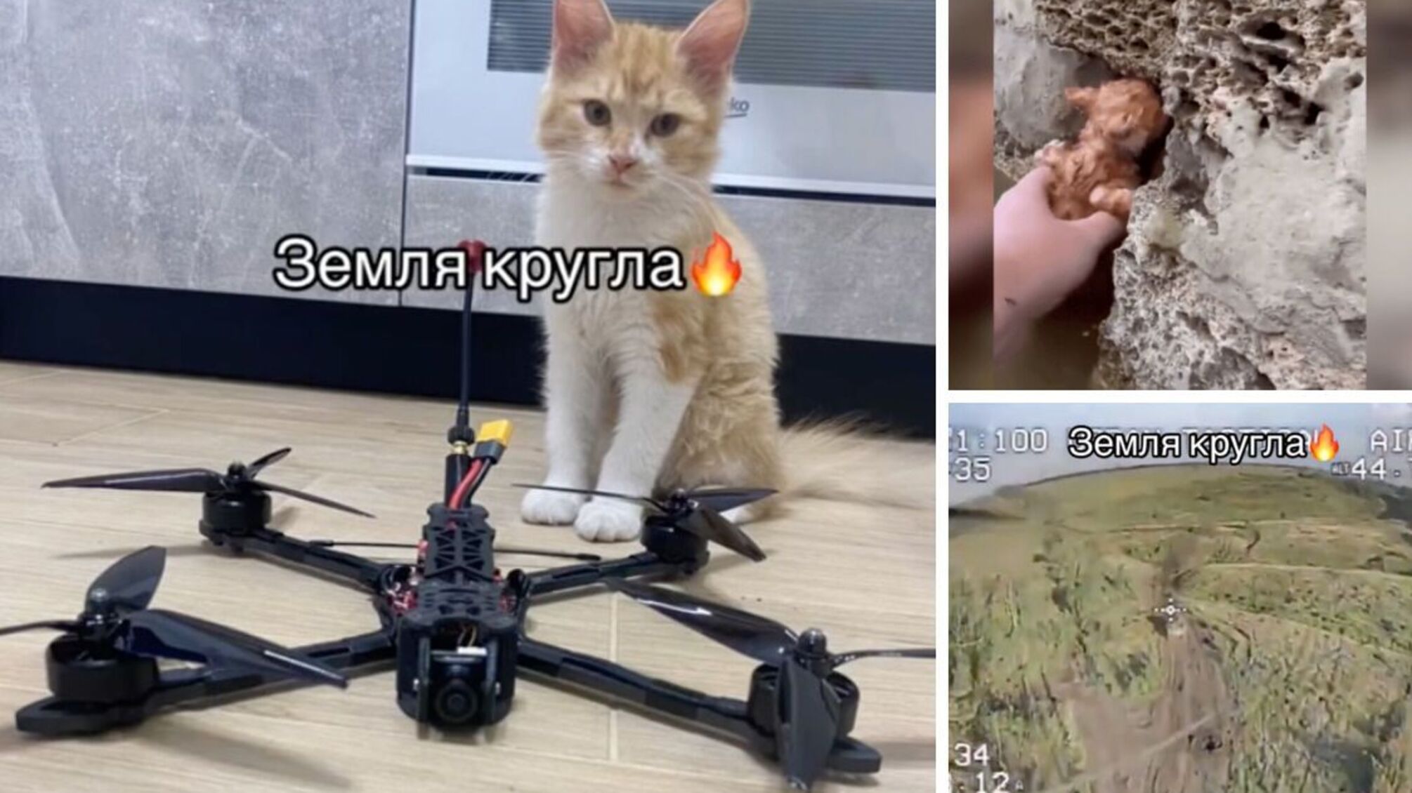 Спасенный на Херсонщине котёнок 'собрал' средства на дрон для ВСУ, которым поразили российский Т-72 (видео)