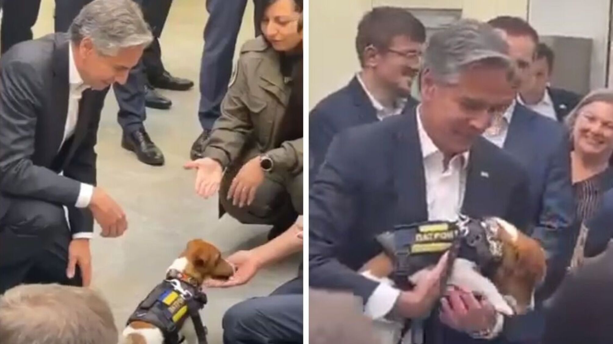 В соцсетях снова 'завирусилось' видео прошлогодней встречи госсекретаря Блинкена с псом Патроном