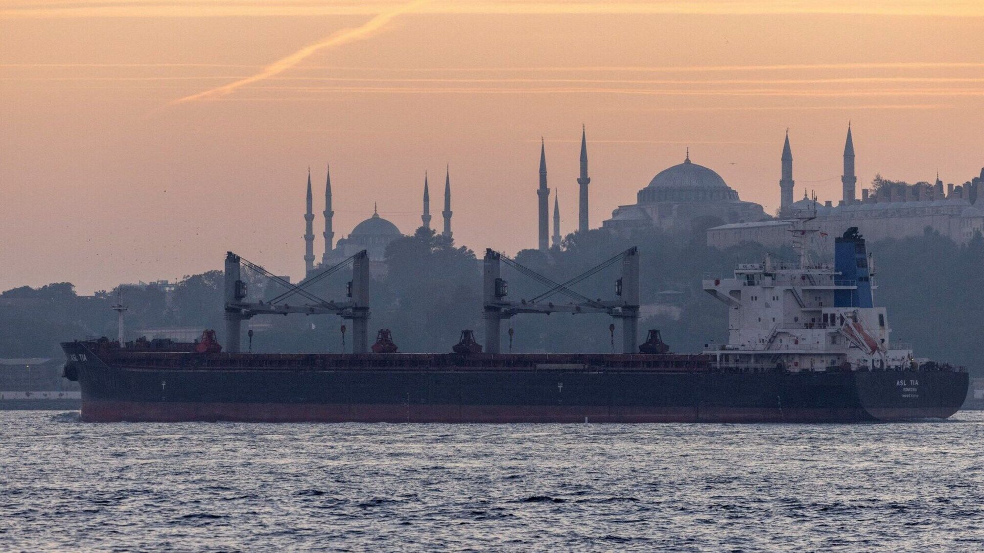 Украинские корабли, перевозящие зерно