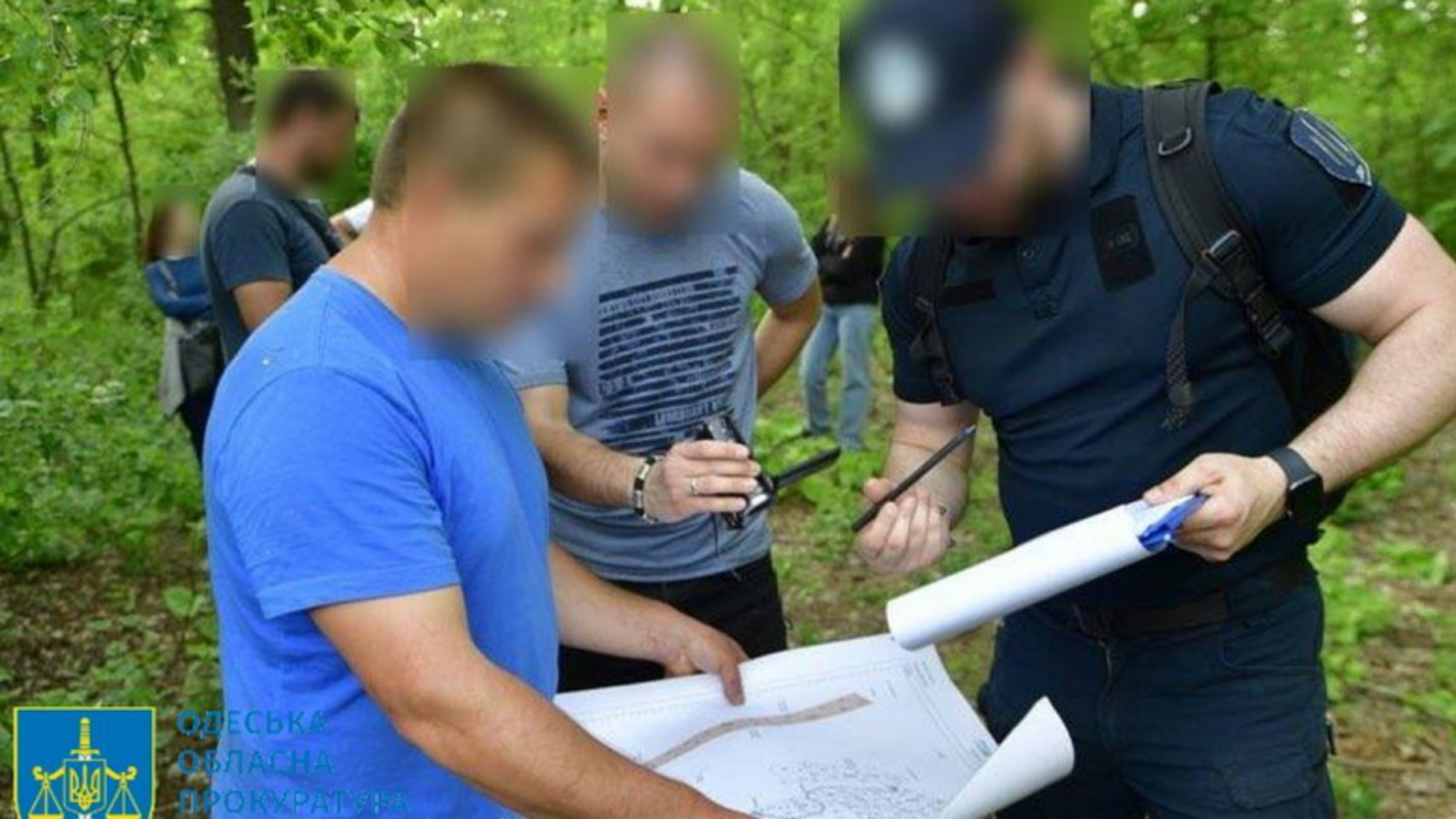 Збитки екології на 145 млн: на Одещині посадовцю лісового господарства повідомлено про підозру