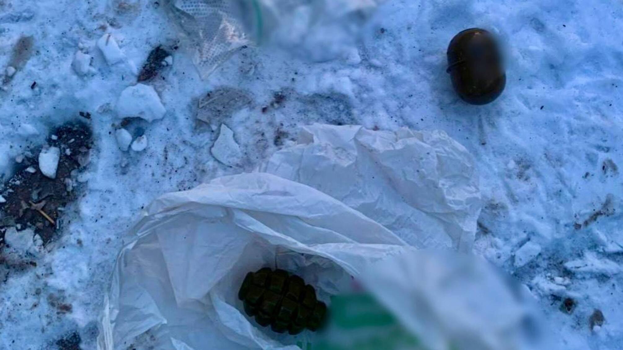 В Киеве на мусорник выбросили боевые гранаты