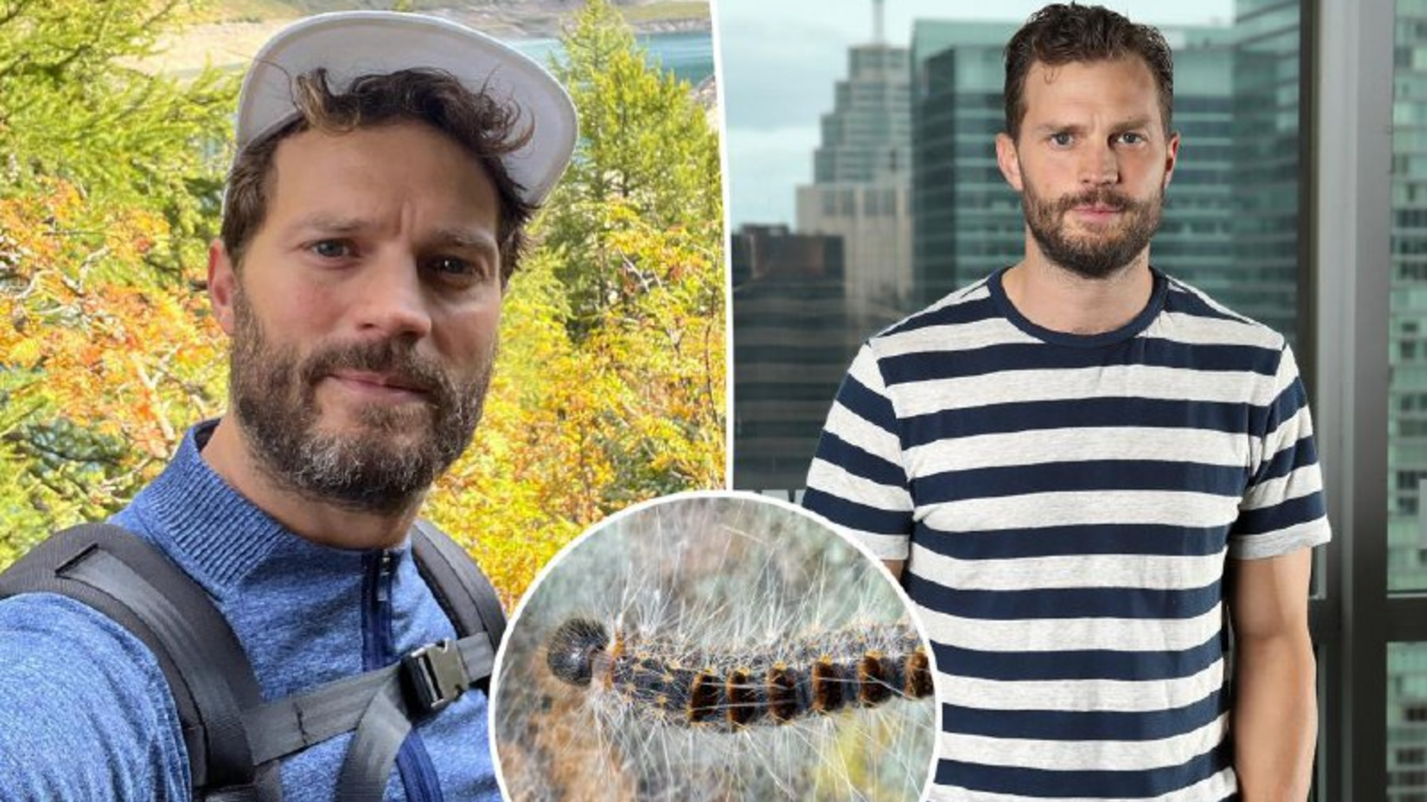 Джеймі Дорнан