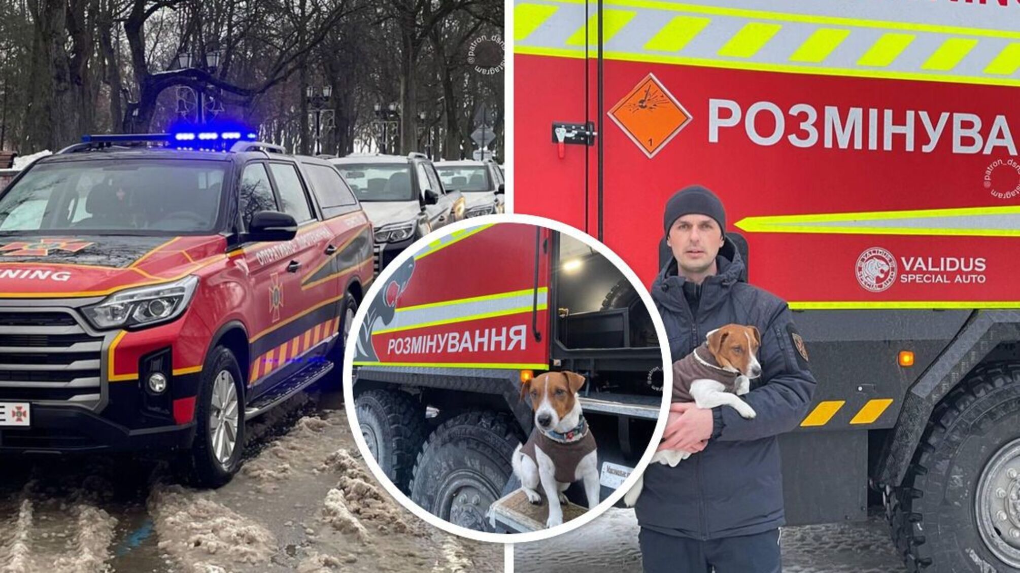 'Назвав Пантера': зірковий сапер пес Патрон показав нову піротехнічну машину