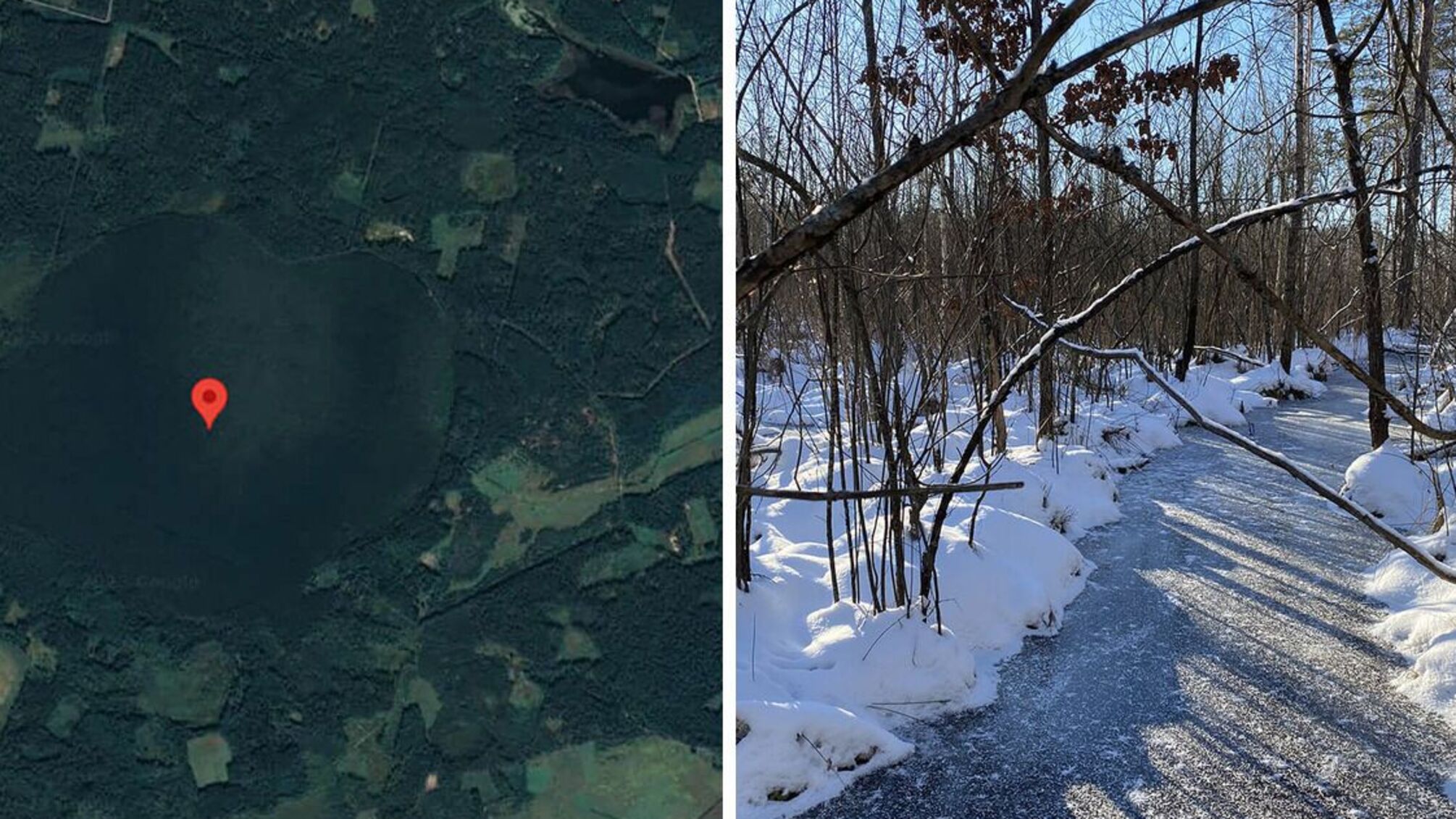 На Поліссі заповідне 'Макове болото' пустили з молотка за 25,5 млн грн: що відомо