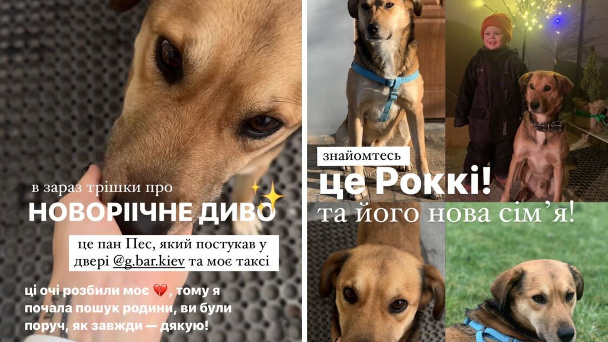 Сабіна Мусіна песик