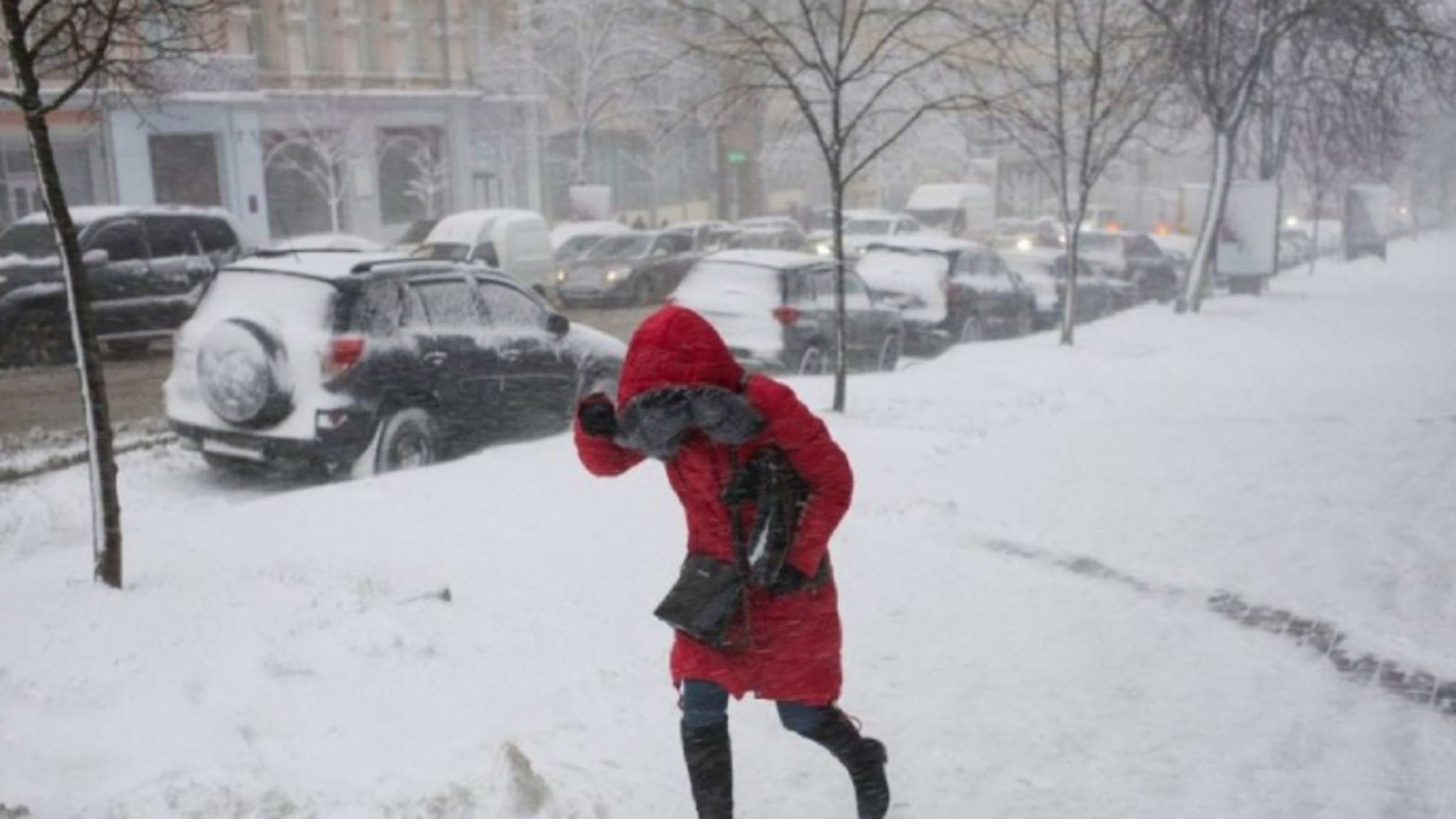 Мощный снежный циклон и морозы до 25 градусов: где в Украине будет холоднее всего