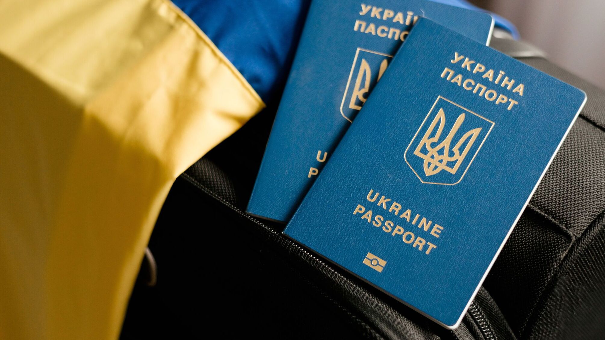 Военный обозреватель опроверг фейк о паспортах для украинцев