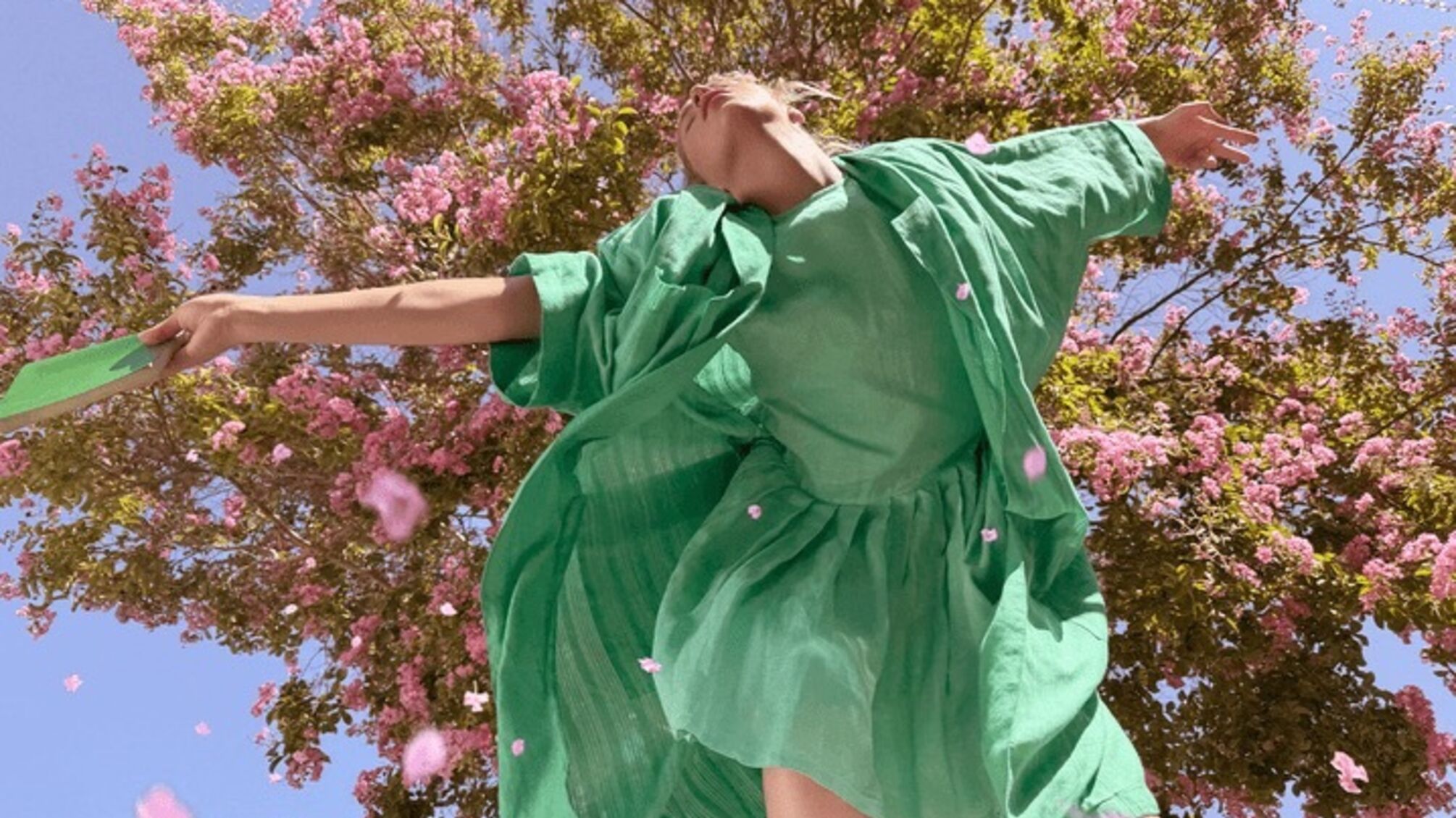 Iphone 16 pro max: apple объединился с художниками для презентации возможностей новой камеры