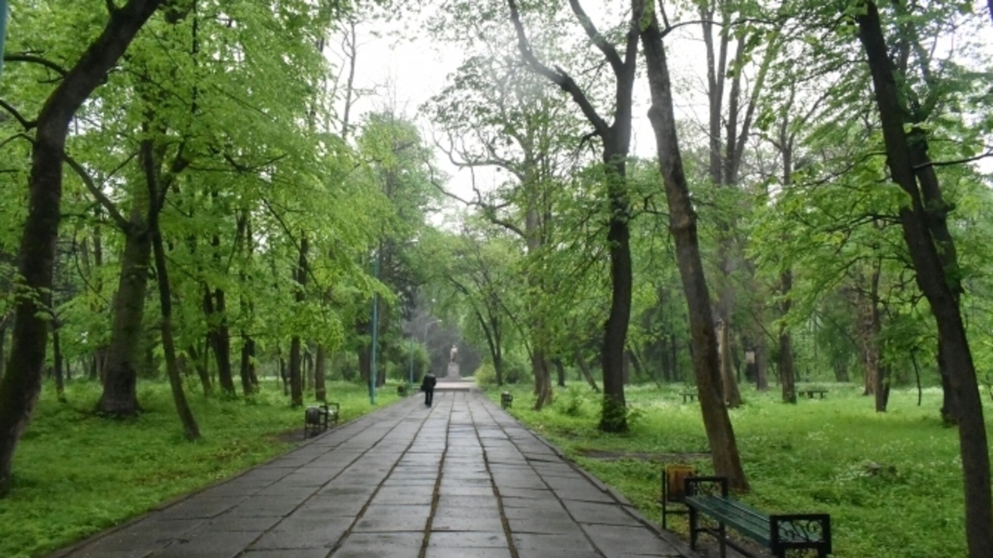 У Стрию вирішили витратити під час війни 100 млн грн на парк