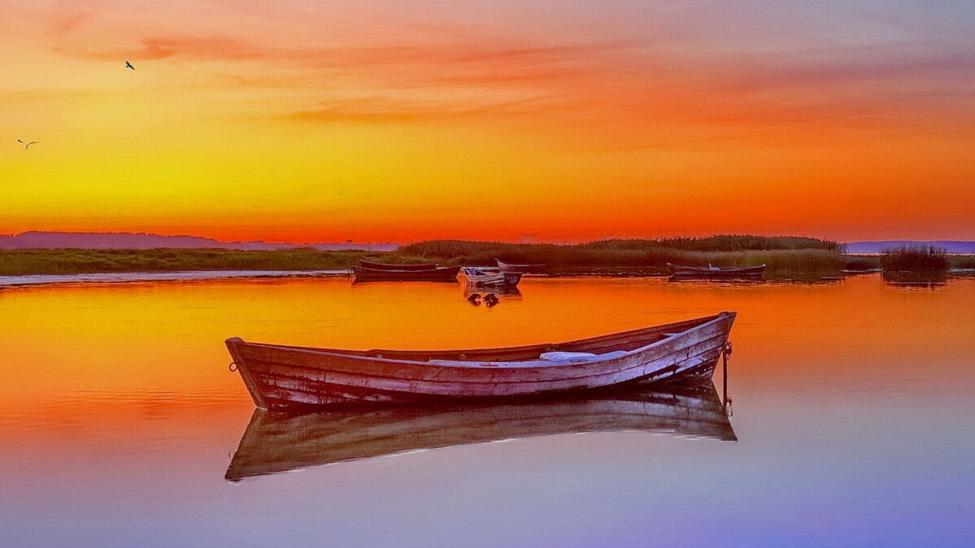 Подорожуємо Україною разом з СК Лайф, Світязь, Шацькі