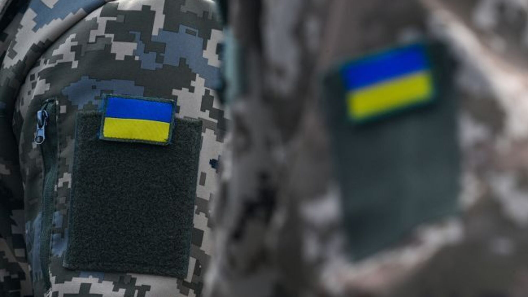 скандал з м'ясом, зсу